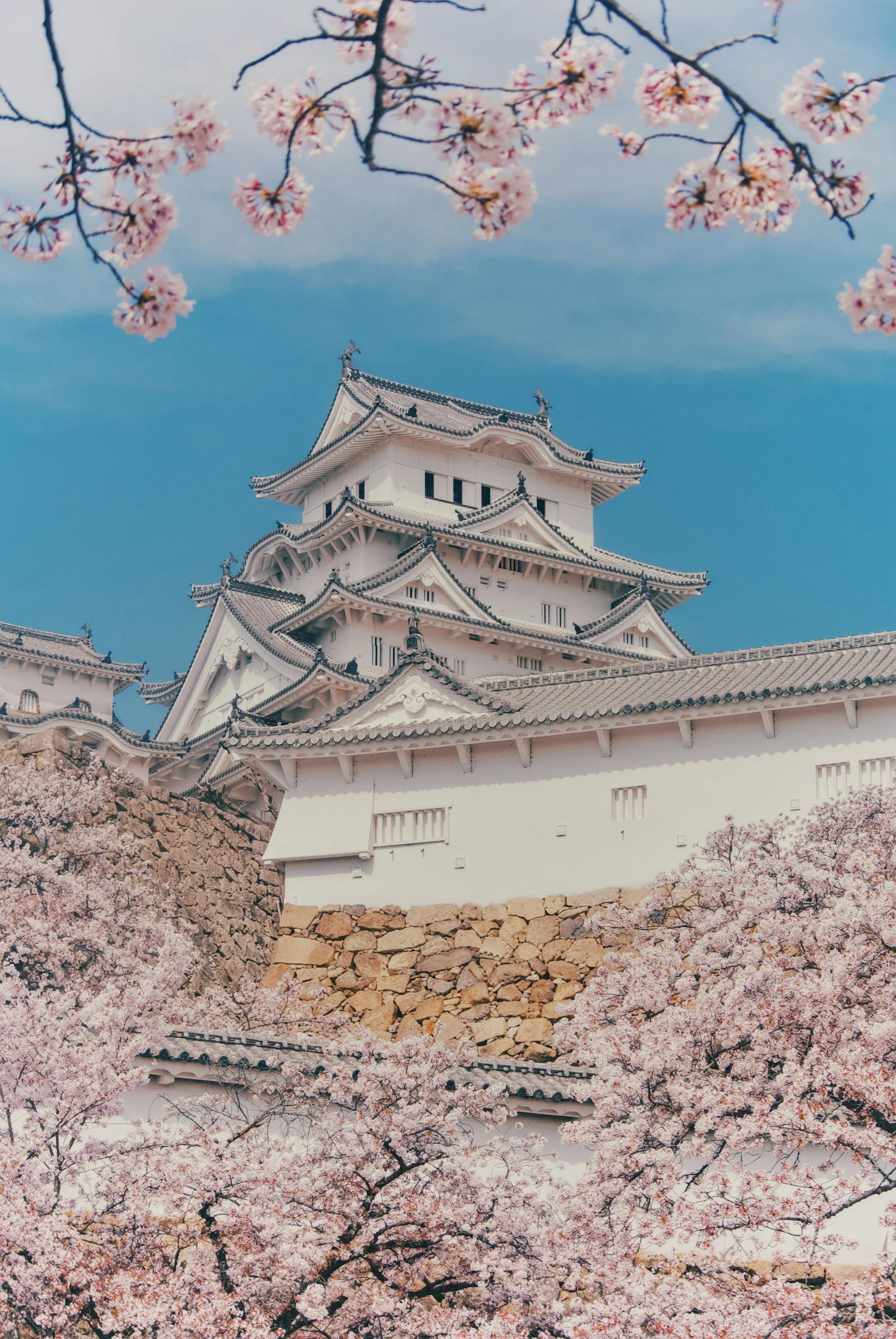 private-himeji-tour-authority-in-architecture-himeji-spring.jpg