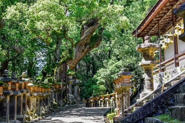 private-nara-tour-shrine.jpg