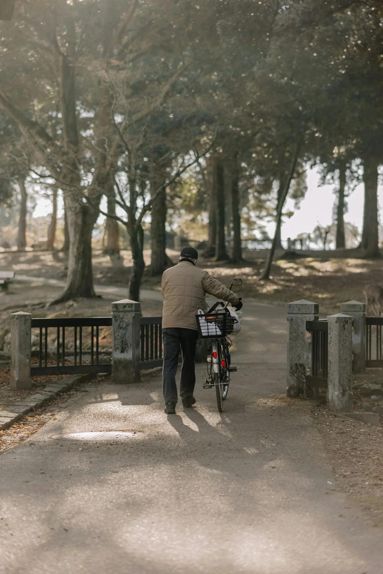 private-nara-tour-park.jpg