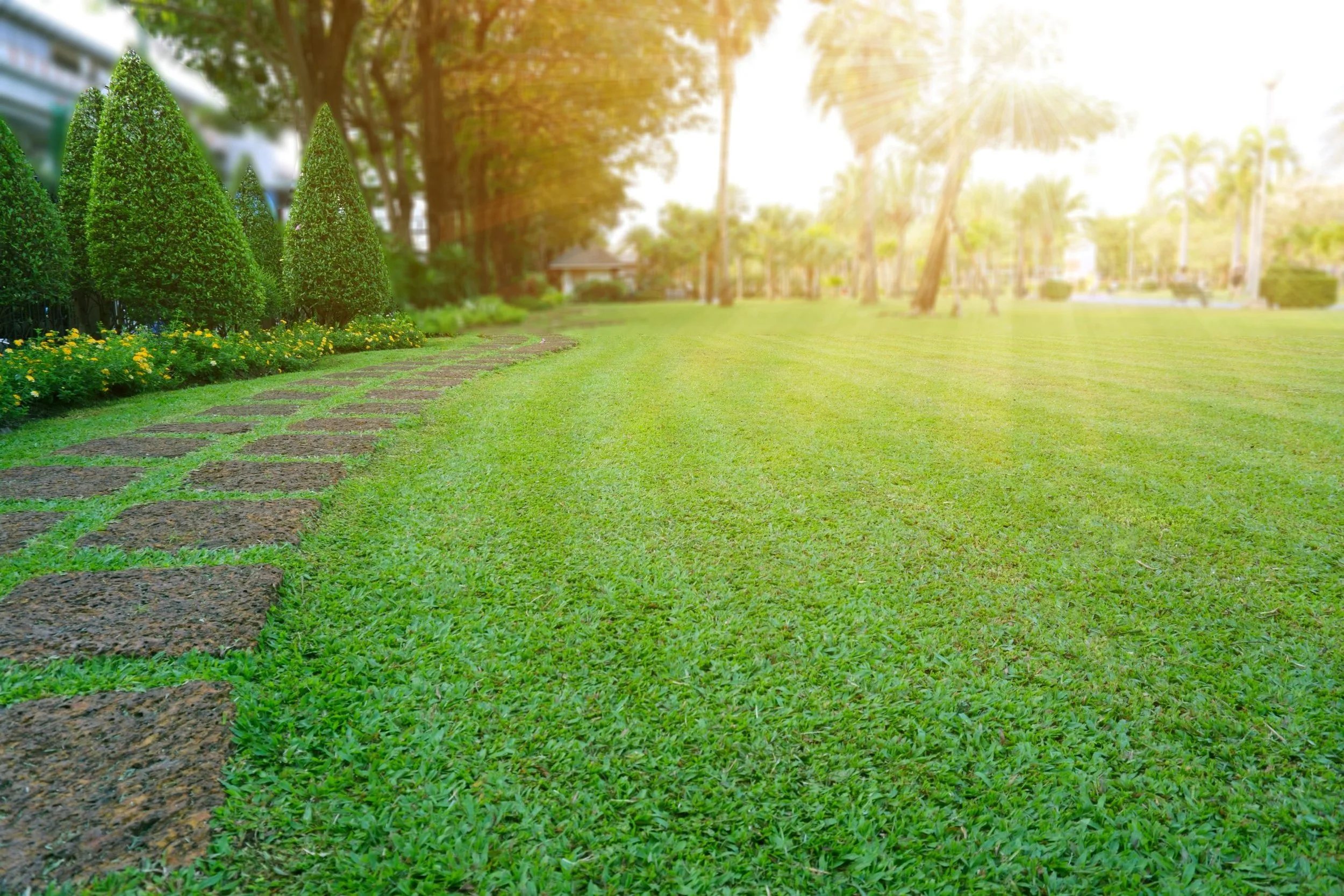 Lawn Mowing Cost in Knoxville TN (2026 Pricing Guide)