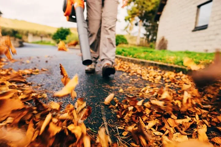 Leaf Removal Cost in Knoxville TN (2026 Pricing Guide)