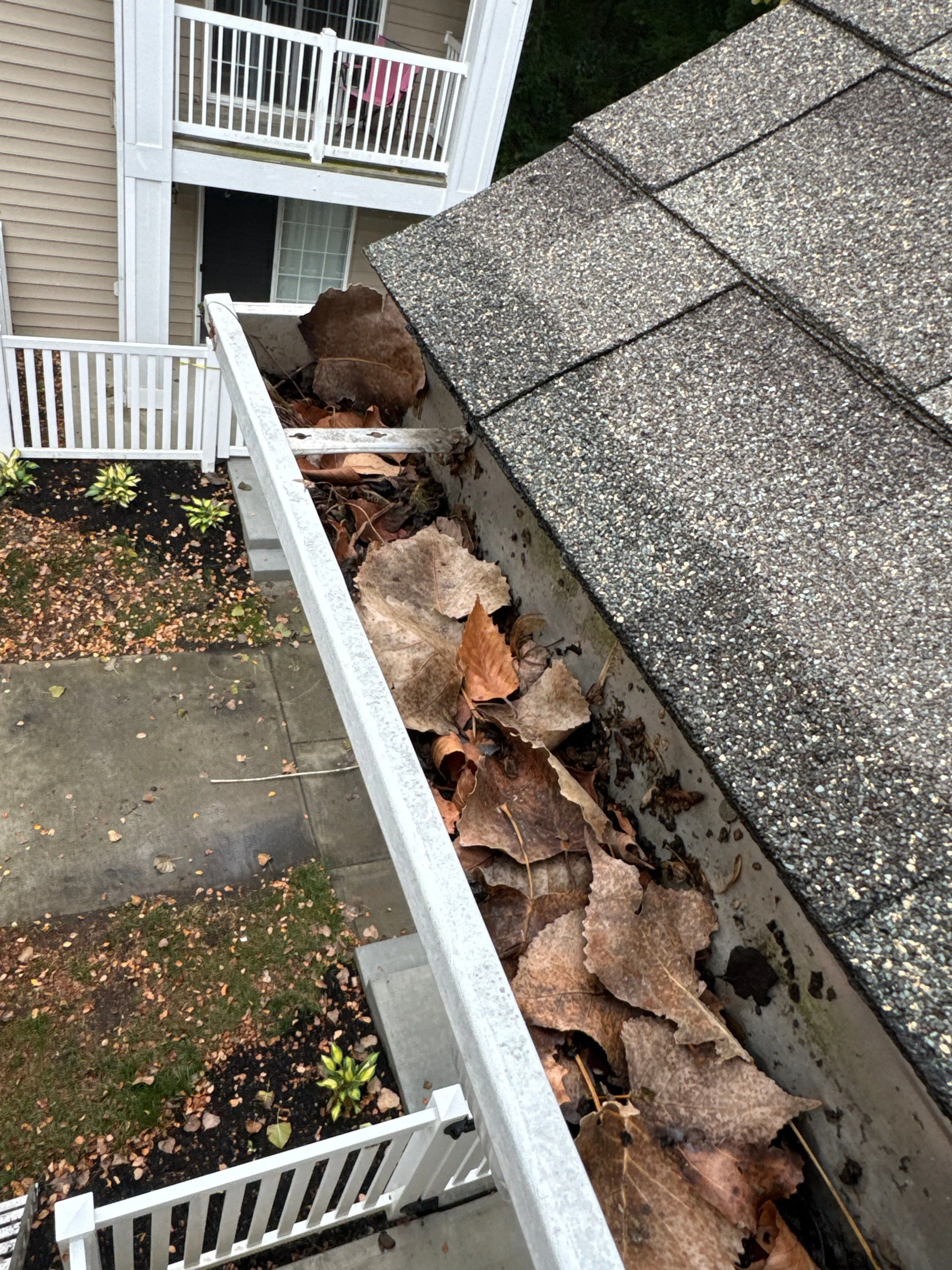 This image shows a close-up view of a roof with shingles, leaves, and foliage. In the background, part of a residential building with a white balcony, patio, lawn, and garden plants are visible.