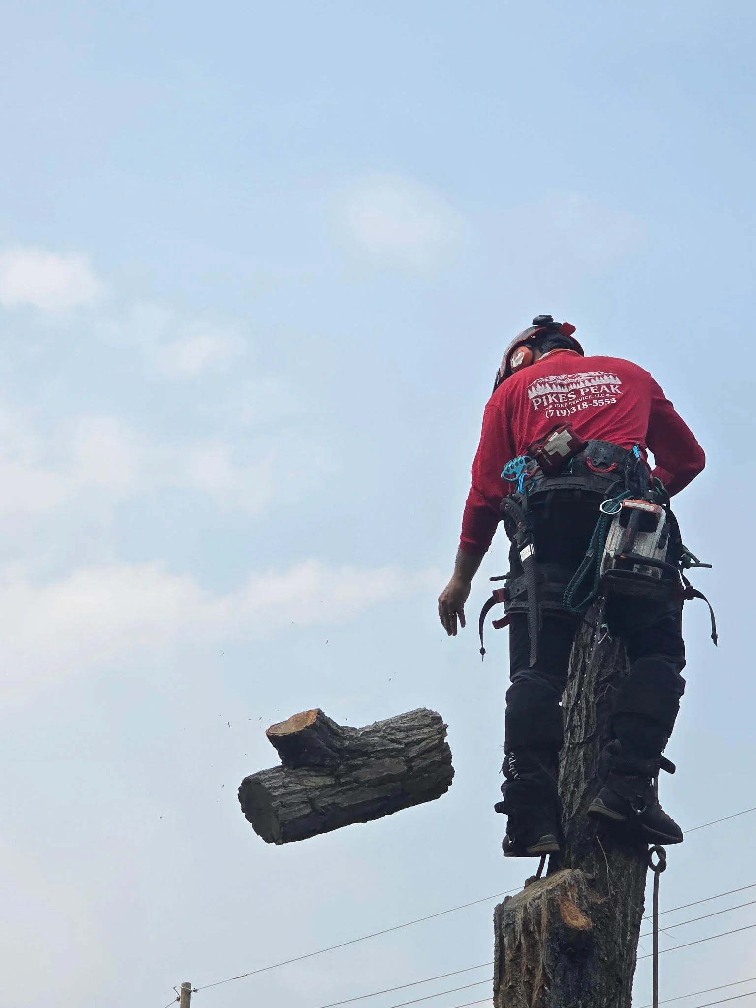 A worker wearing a red shirt with company details harnessed to a utility pole, cutting a tree with a chainsaw. The worker is wearing a helmet and safety gear, standing on the altered top of the pole.