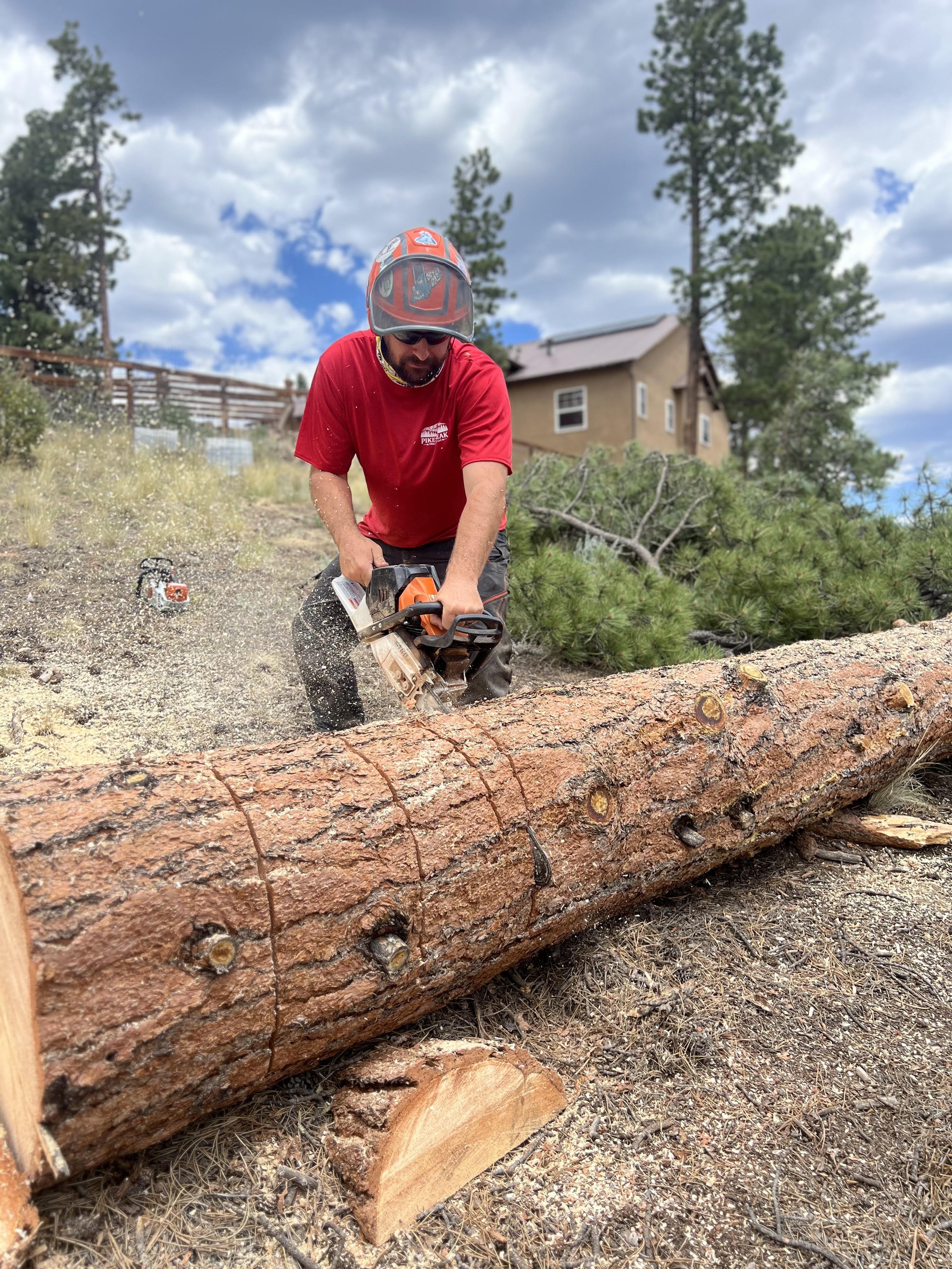 A person wearing a red shirt, helmet, and safety glasses cuts a fallen tree trunk with a chainsaw outdoors on a clear day. There are tall trees and a house in the background.
