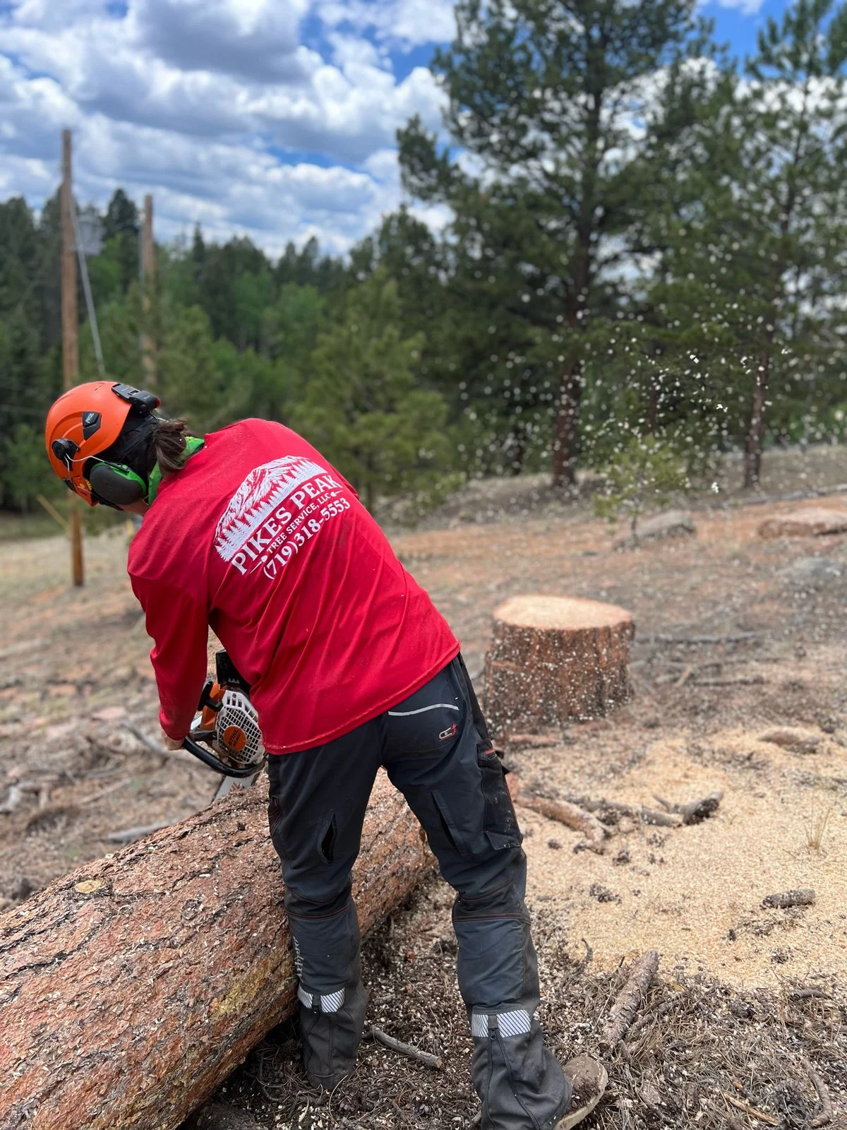A person wearing a red jacket and black pants, equipped with safety gear including a helmet, is cutting a large fallen tree with a chainsaw in a forested area on a partly cloudy day.