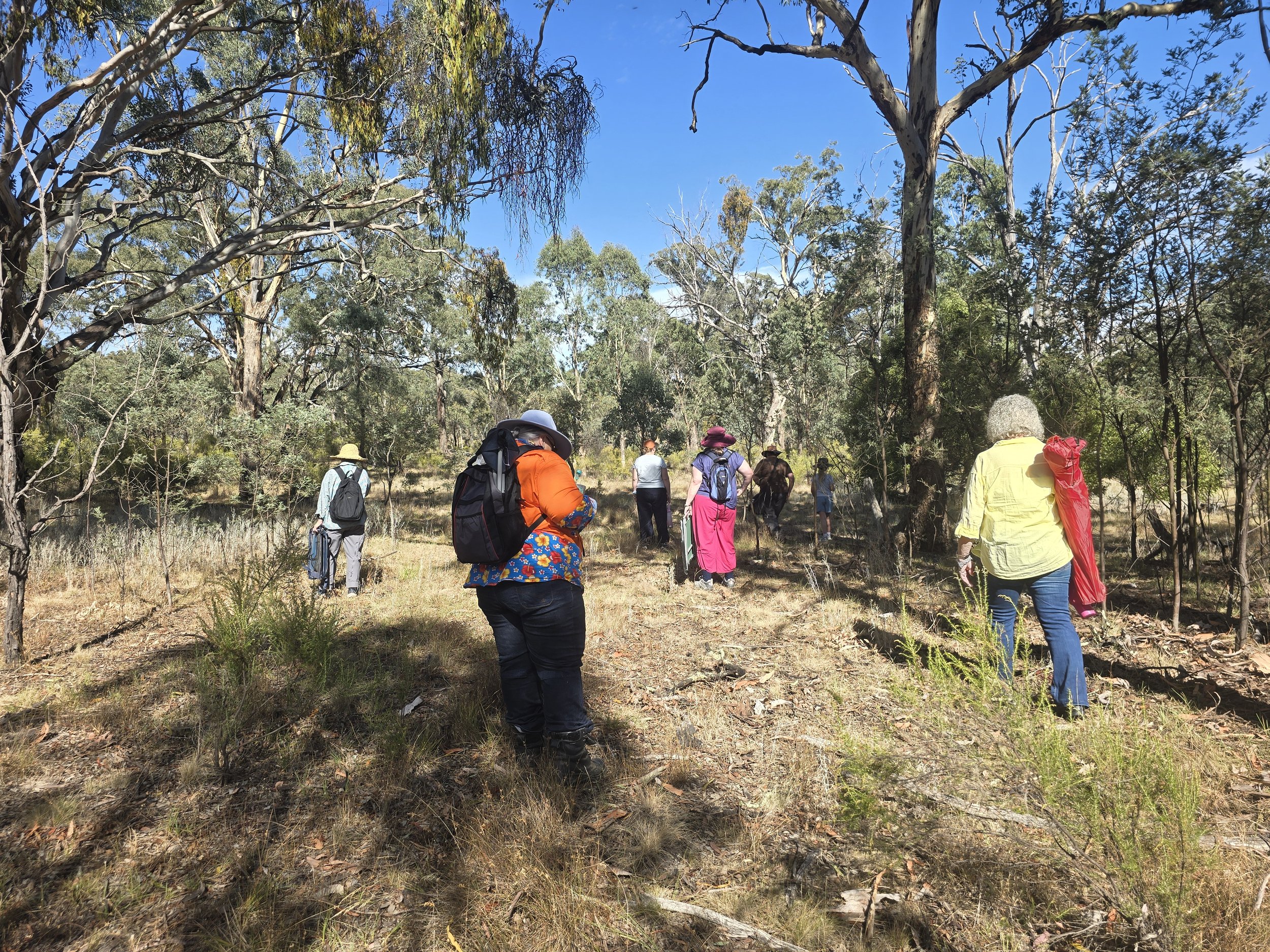 Forest Therapy walk (3 hours)