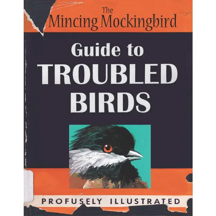 Guide to Troubled Birds : The Mincing Mockingbird