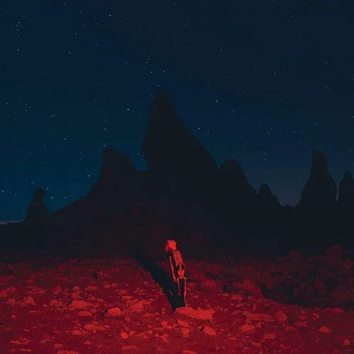 Phoebe Bridgers-Punisher LP