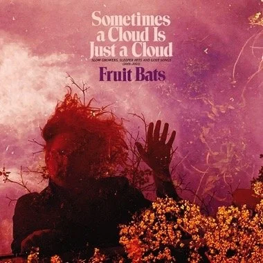 Fruit Bats-Sometimes A Cloud Is Just A Cloud: Slow Growers, Sleeper Hits and lost songs(2001-2021) LP