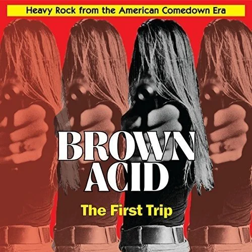 Brown Acid:First Trip-Heavy Rock From American Comedown Era LP