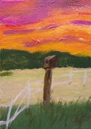 Elliot Sunset - Birdhouse