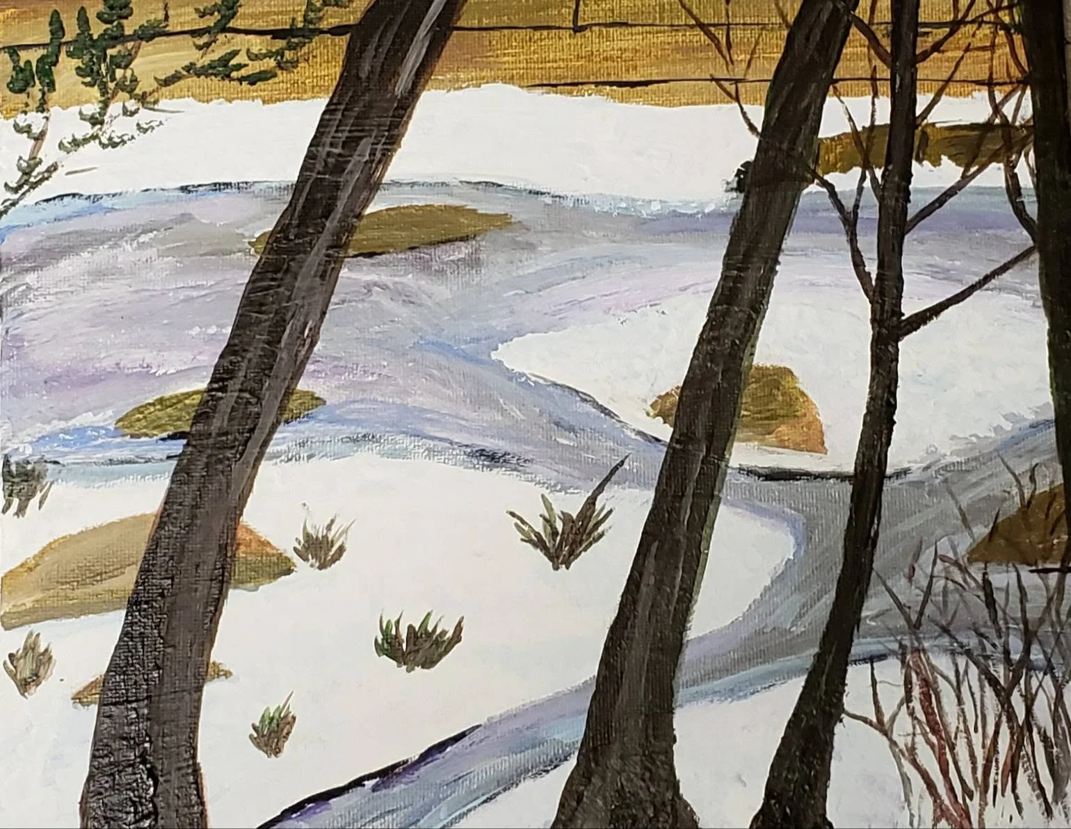 Isinglass River, February Thaw