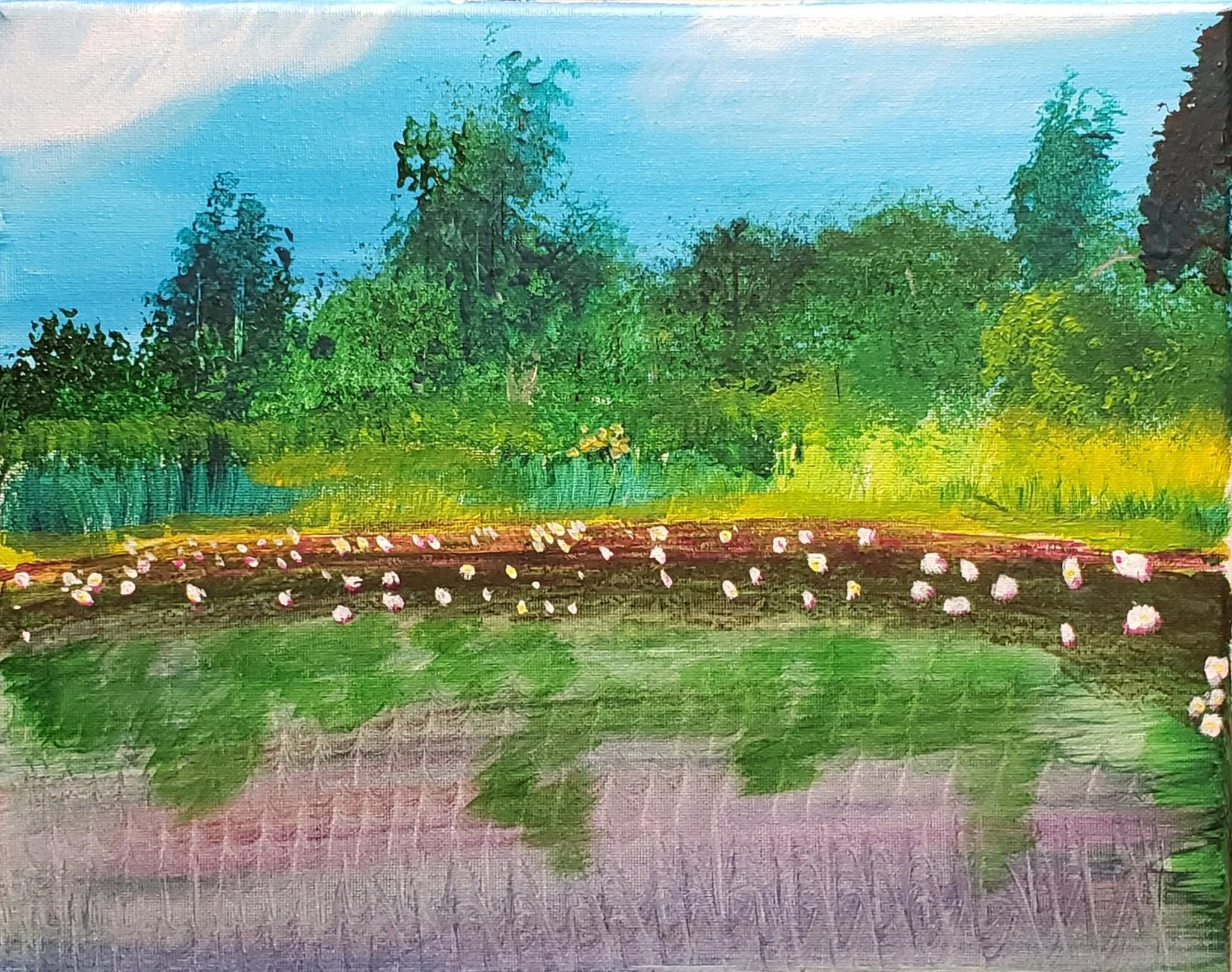 Bellamy Reservoir #4 Water lilies