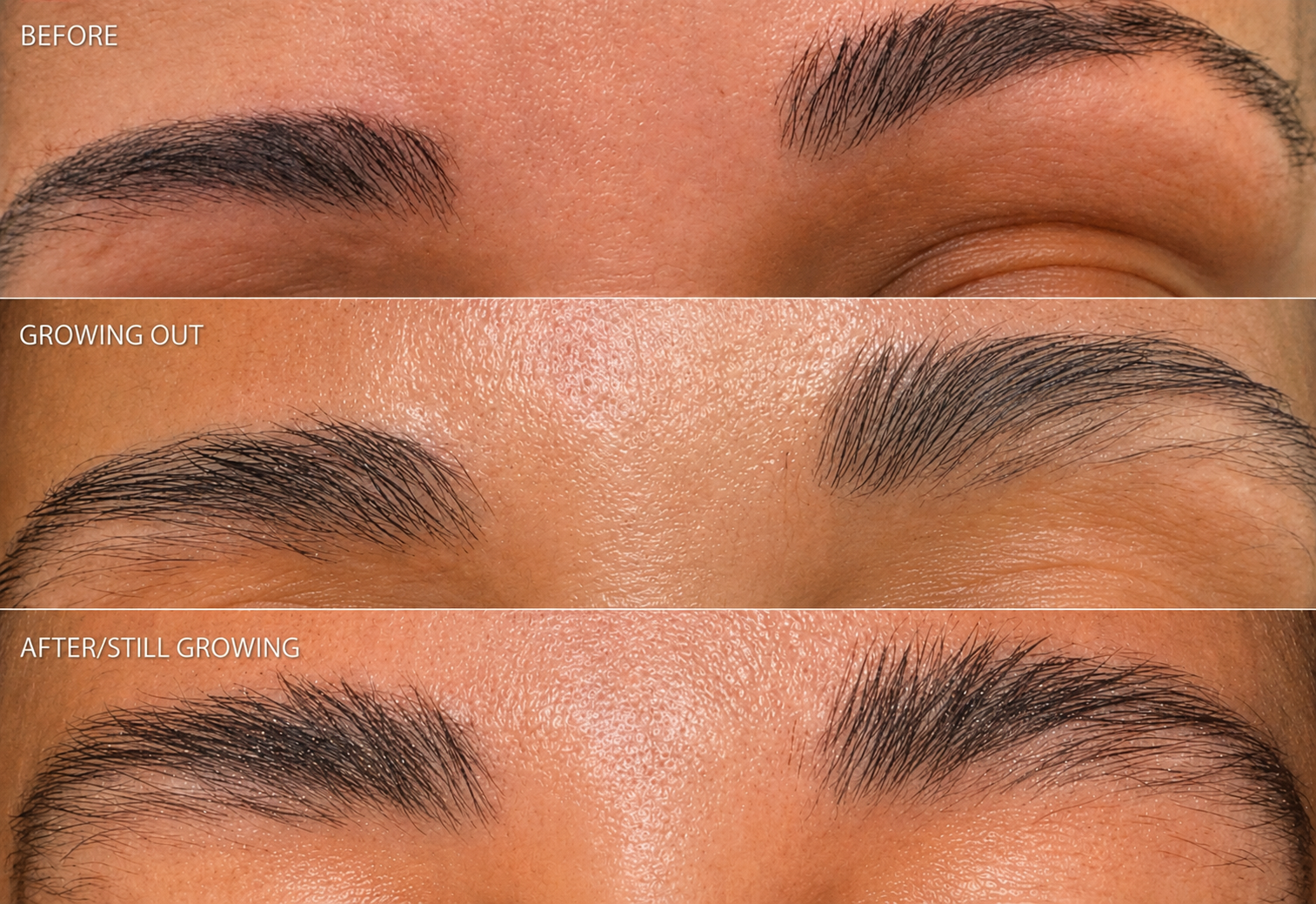 Results using Brow Zhuzh Eyebrow Conditioning Treatment