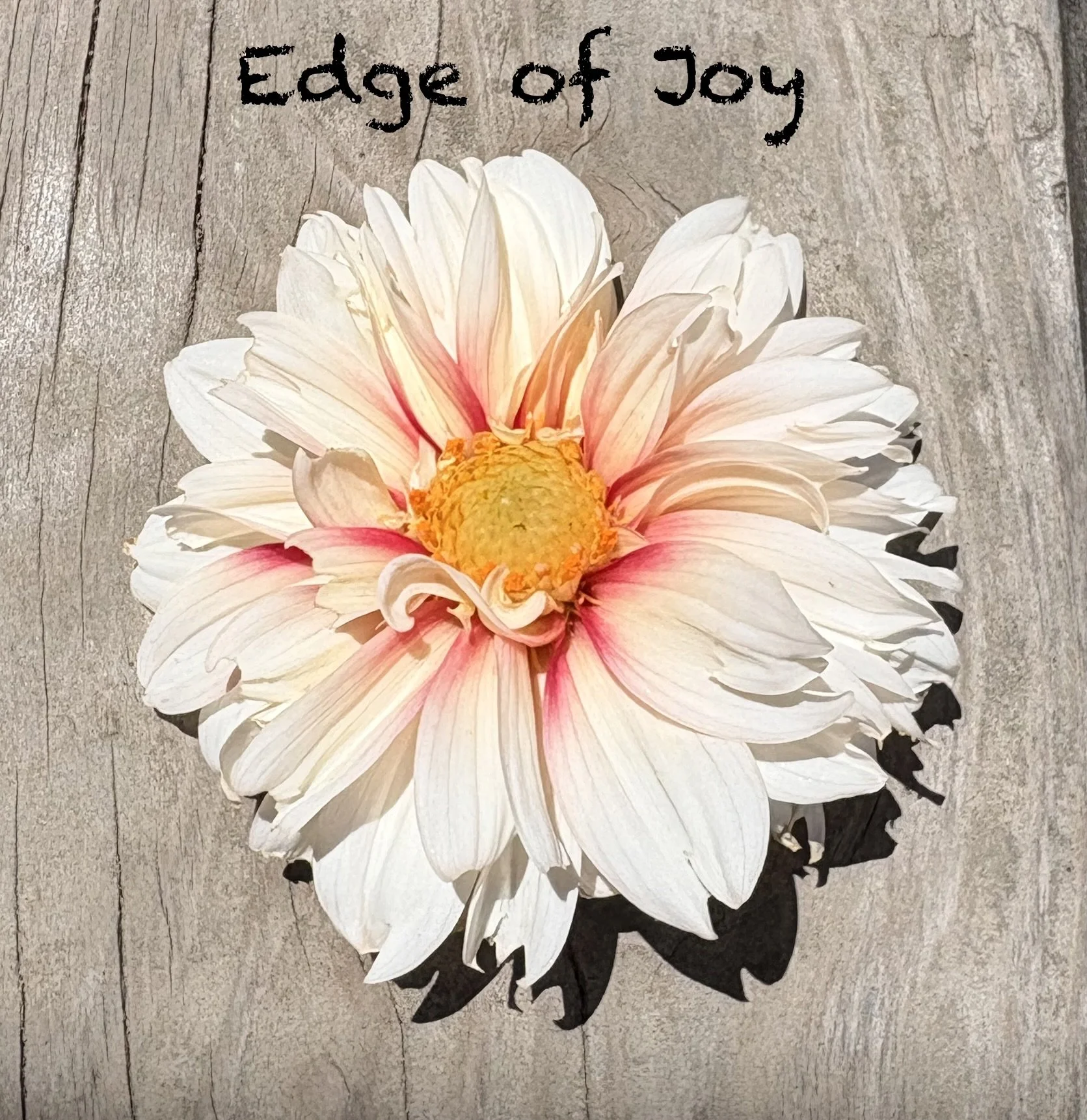 Edge of Joy