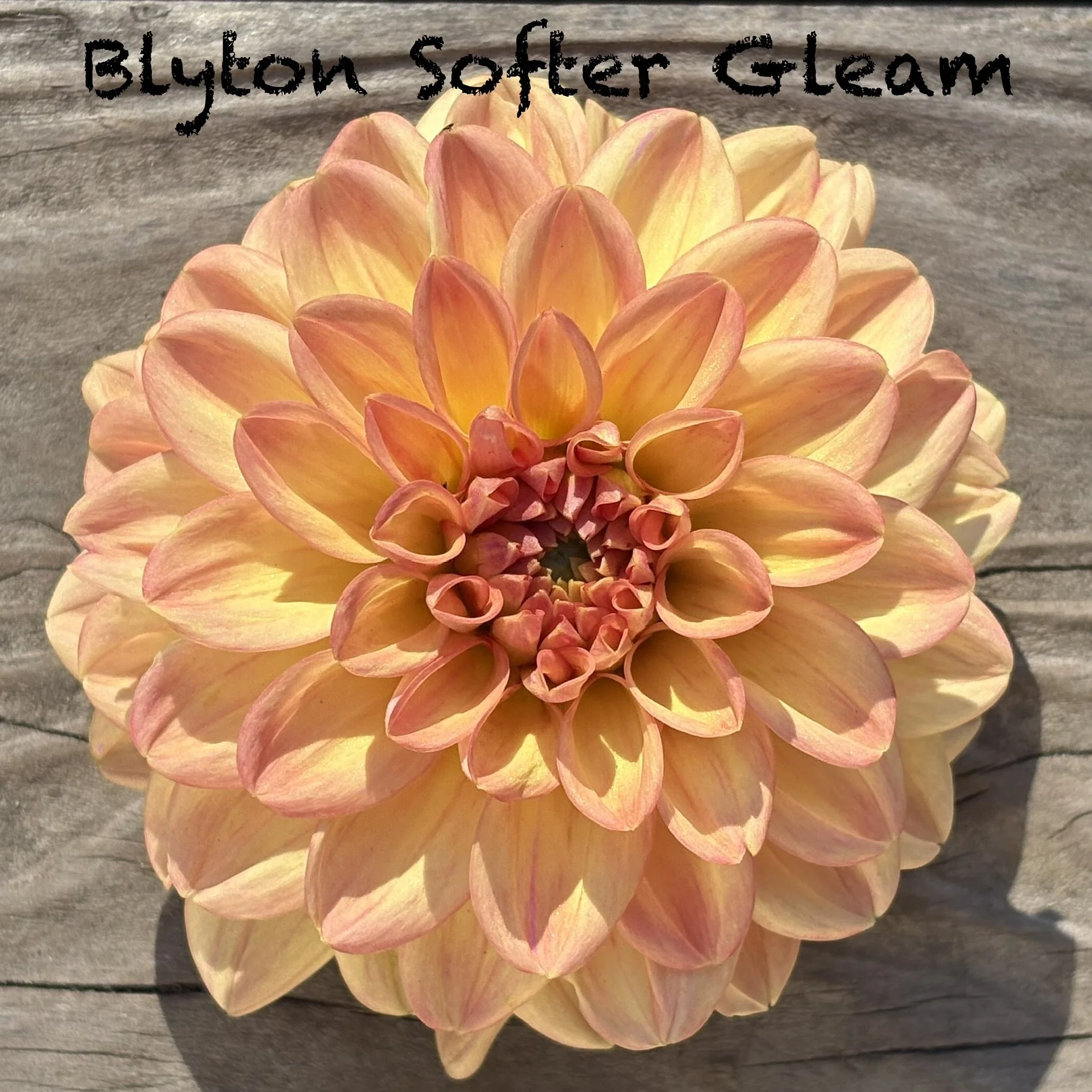 Blyton Softer Gleam