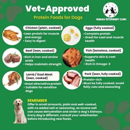 Comprehensive Review of Alternative Proteins in Pet Food: Research Publications, Patents, and Product Trends in Plant, Aquatic, Insect, and Cell-Based Sources