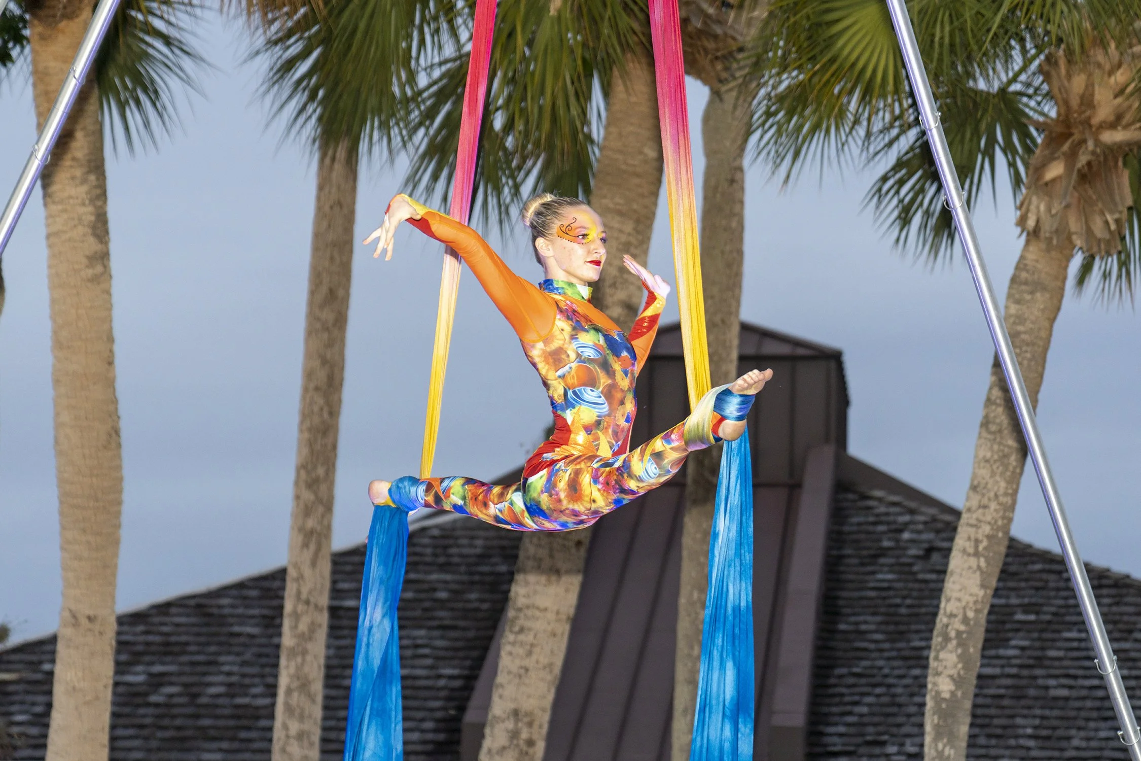 A female aerial silk performer dressed in a colorful bodysuit performing on pink and blue silks outdoors, with palm trees in the background.