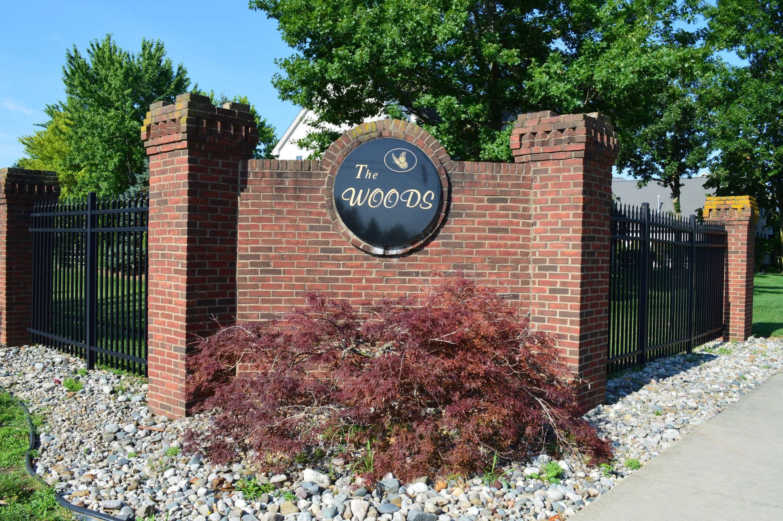 TheWoods.JPG