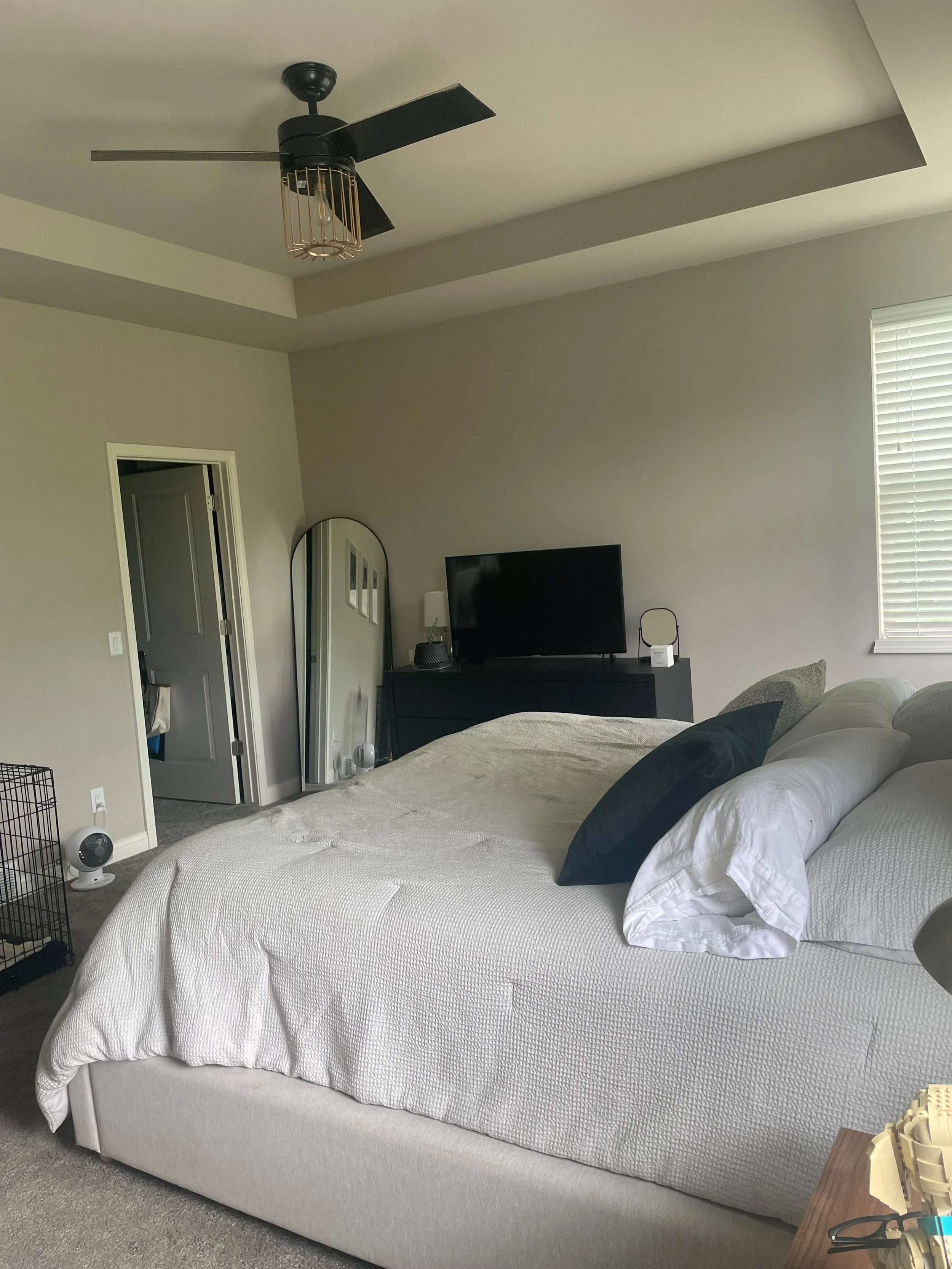 BEFORE - Primary Bedroom