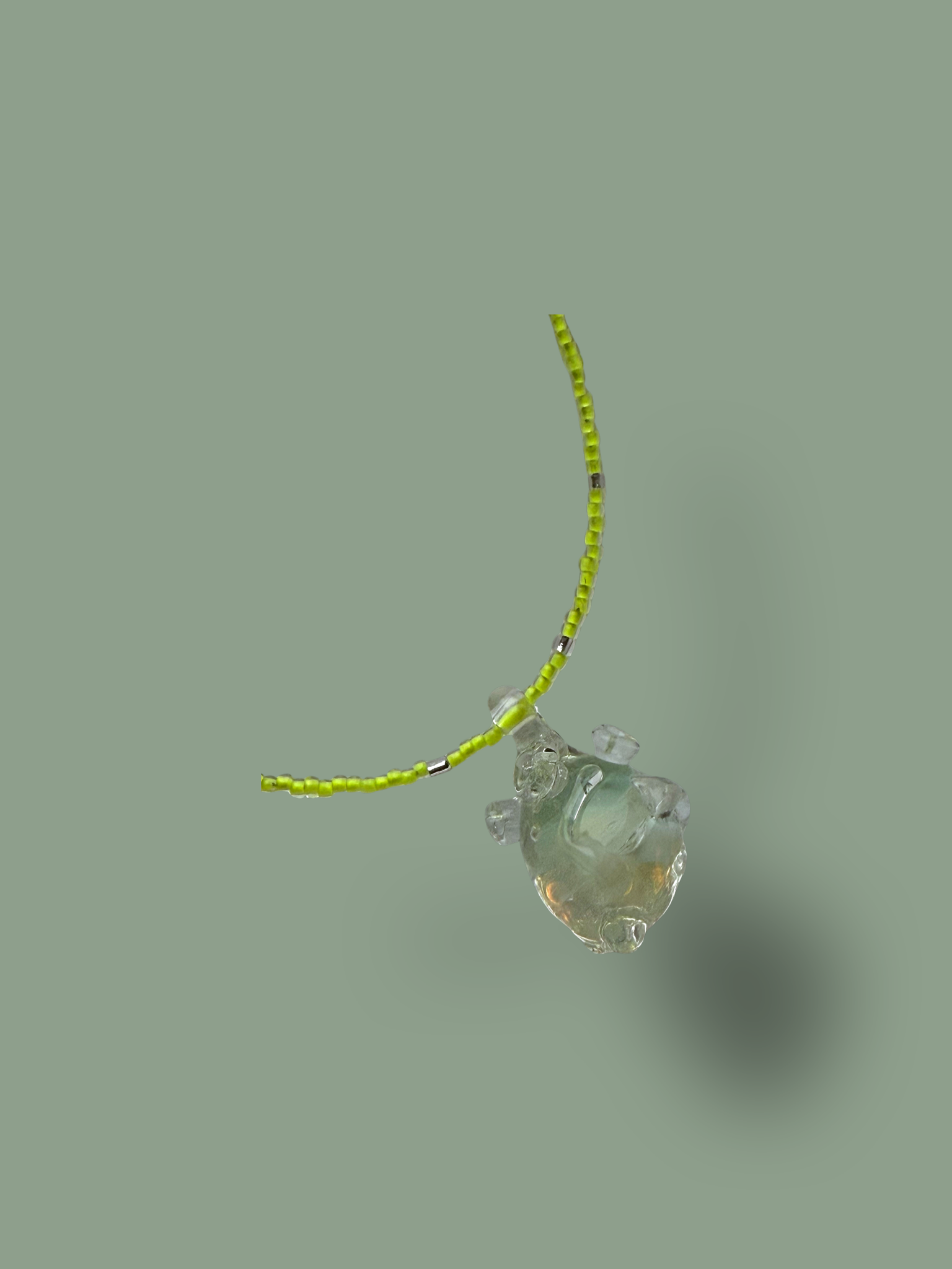 IMG_3054.PNG