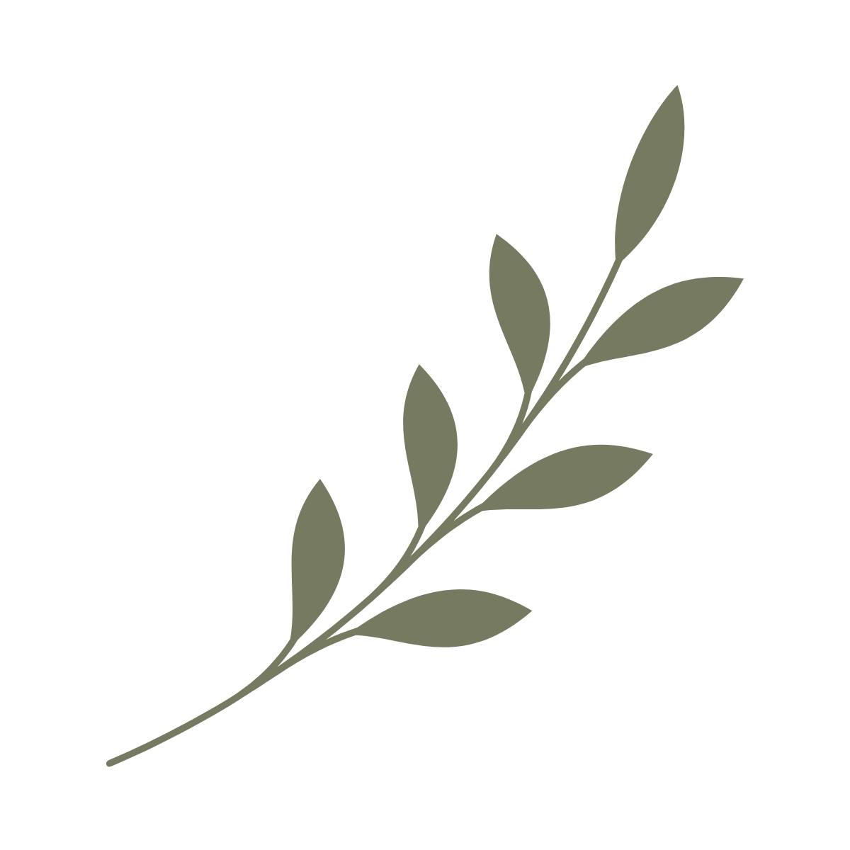A minimalist illustration of an olive branch with green leaves against a black background.