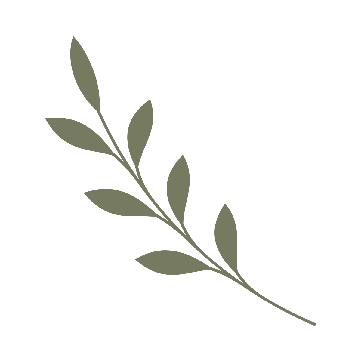 Live Well Olive Branch Representing Non Medical Senior Care That Includes Meal Prep, Light Housekeeping & Daily Routine Upkeep.