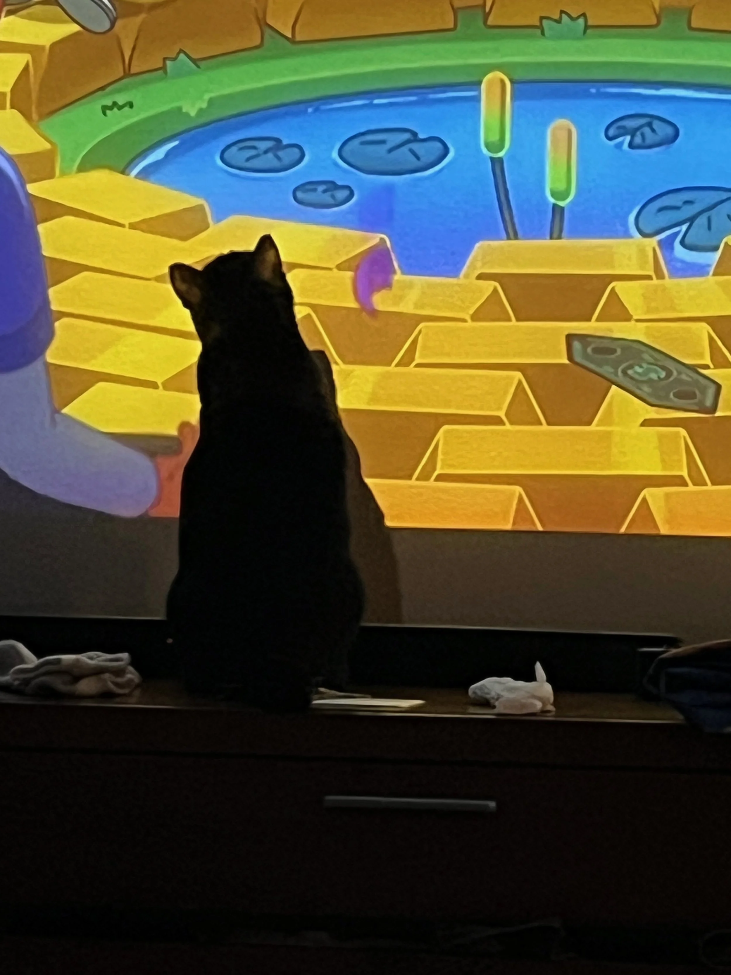 A black cat sitting on a windowsill with a projection of a colorful pond scene with lily pads, cattails, and a remote control on the wall.
