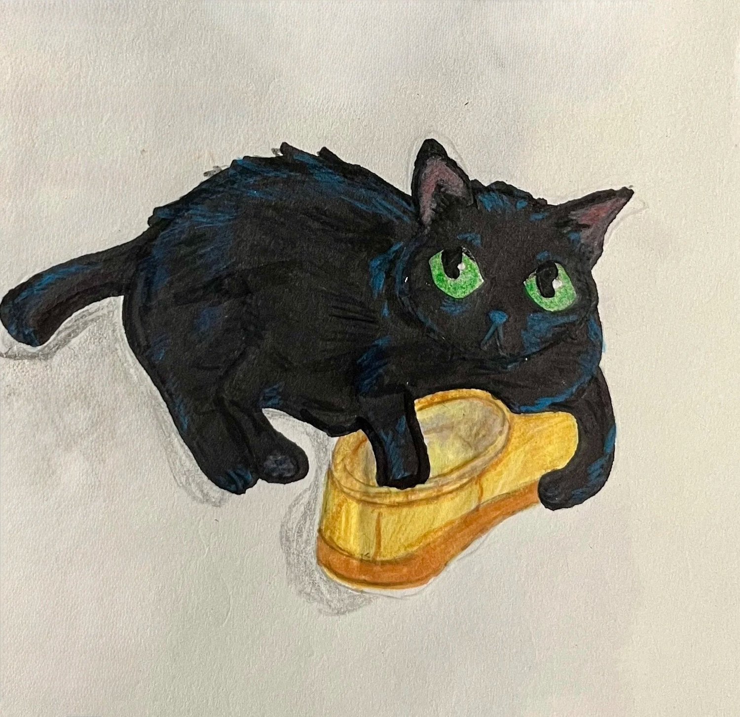 Eleanor the Cat