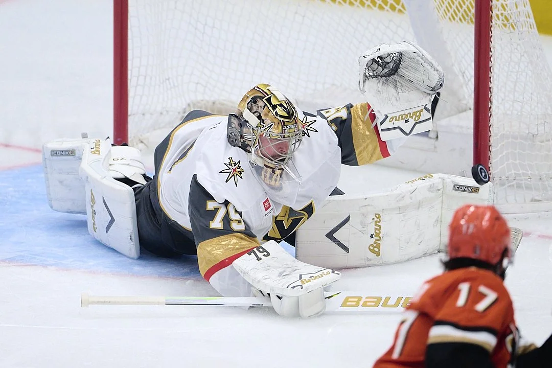 260510_005_vegas_golden_knights_at_Ducks.jpg