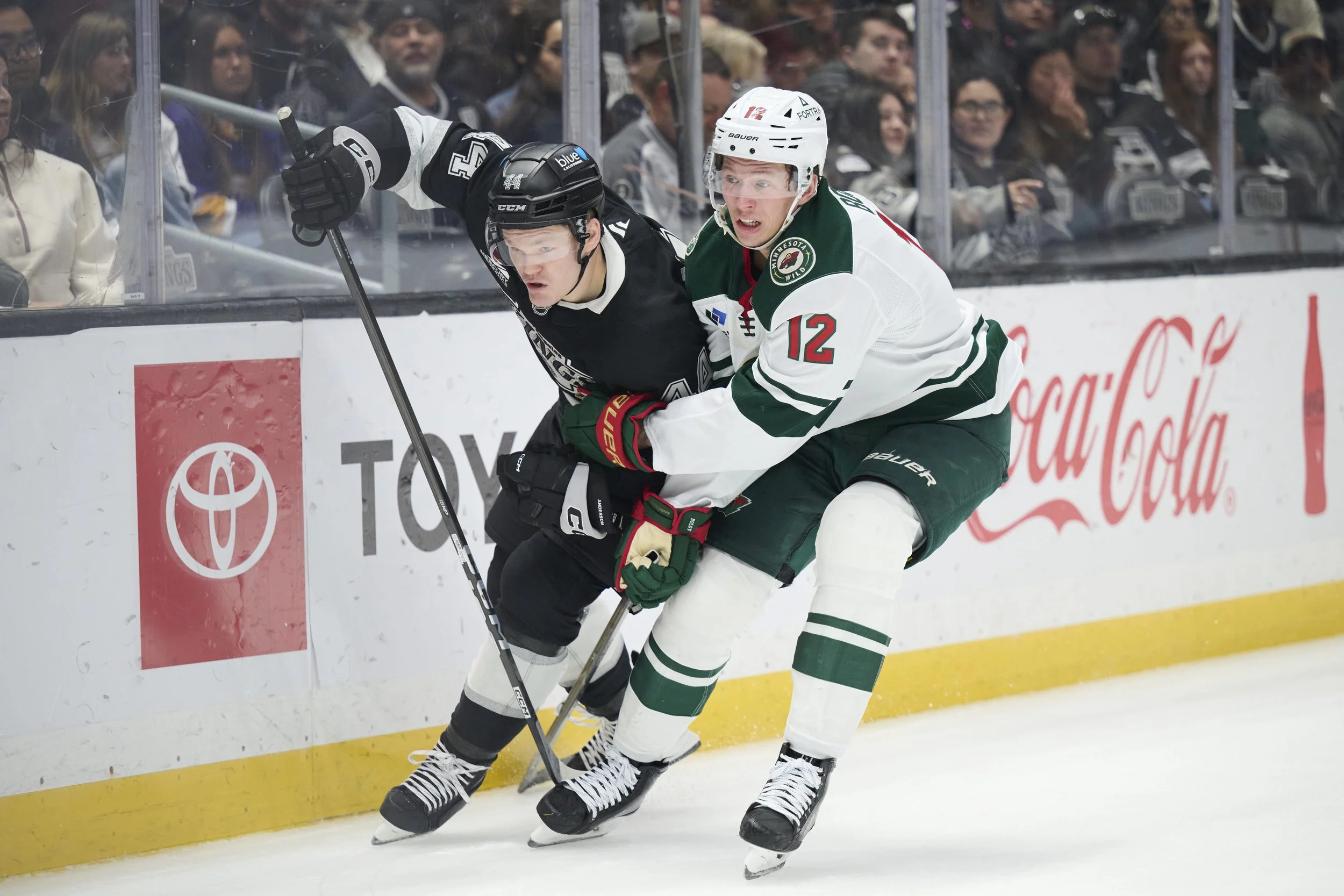 260105_005_wild_at_Kings.jpg