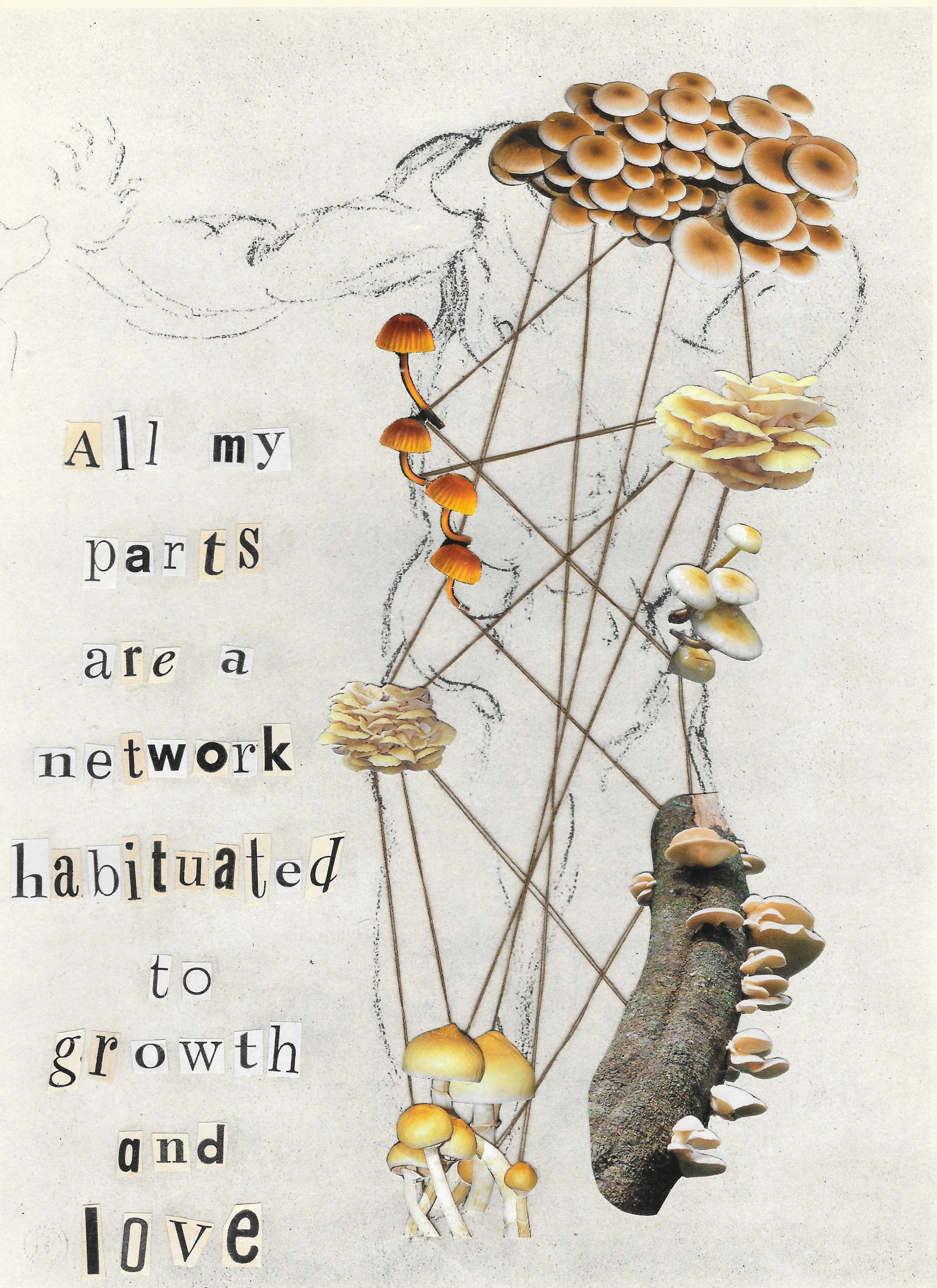 Mycologist (2022)