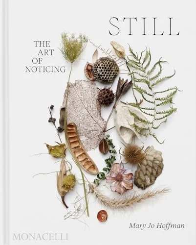 Still: The Art of Noticing by Mary Jo Hoffman (2024)