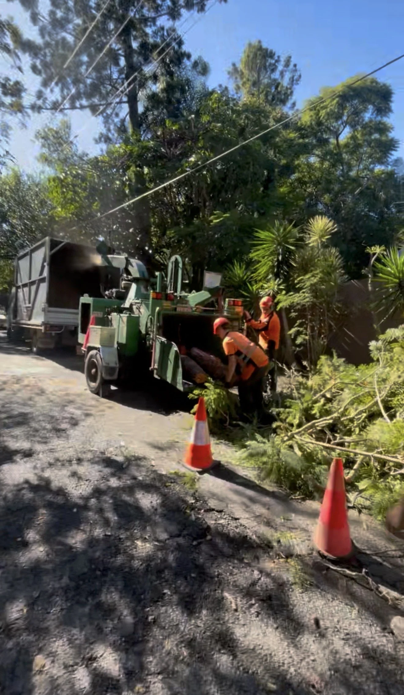 Green Waste Debris Removal Service
