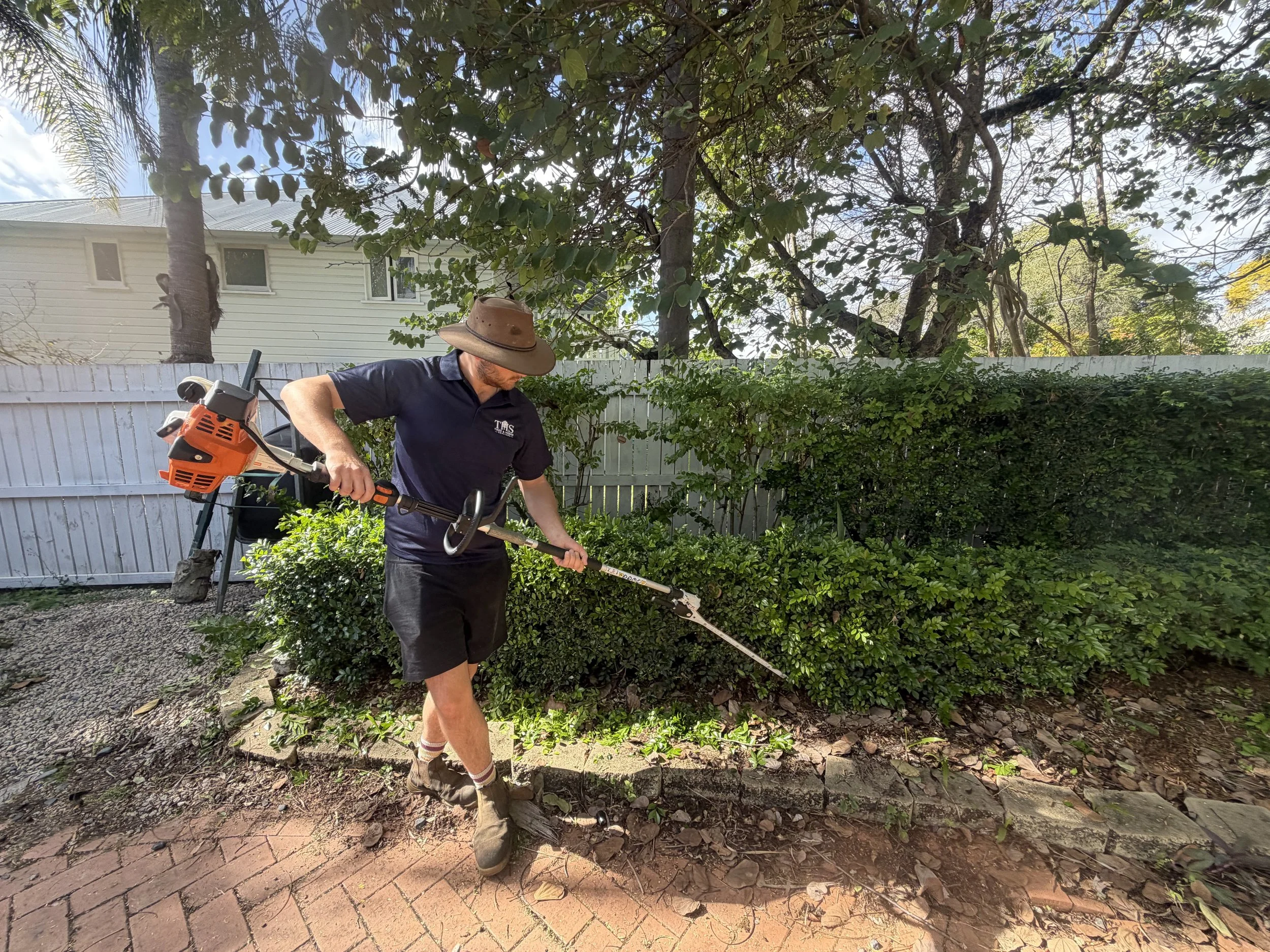 Hedge Trimming & Reductions