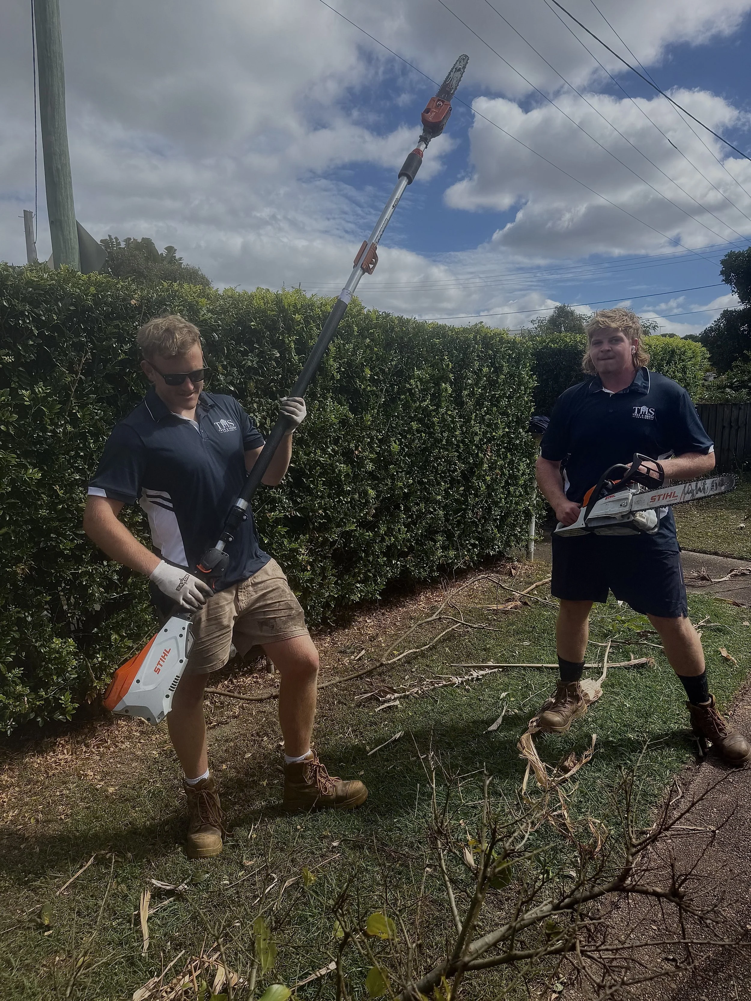 Regular Tree Pruning Programs