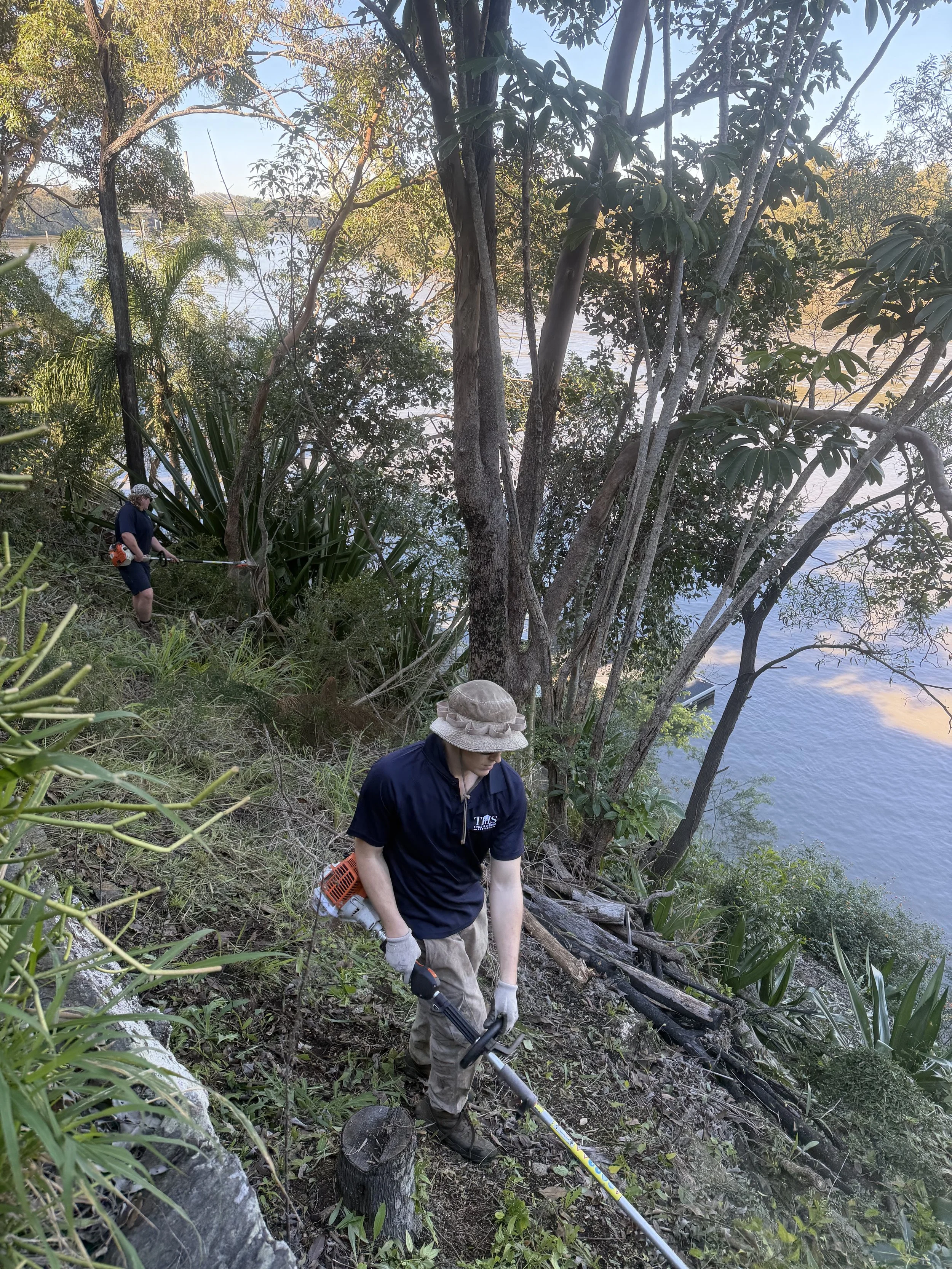Garden Clearing & Shrub Removal