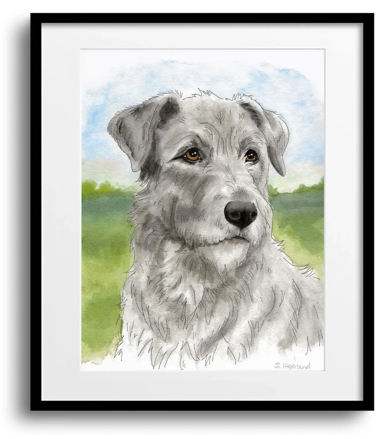 custom-hand-painted-watercolor-irish-wolf-hound-commission-oklahoma-001.jpg