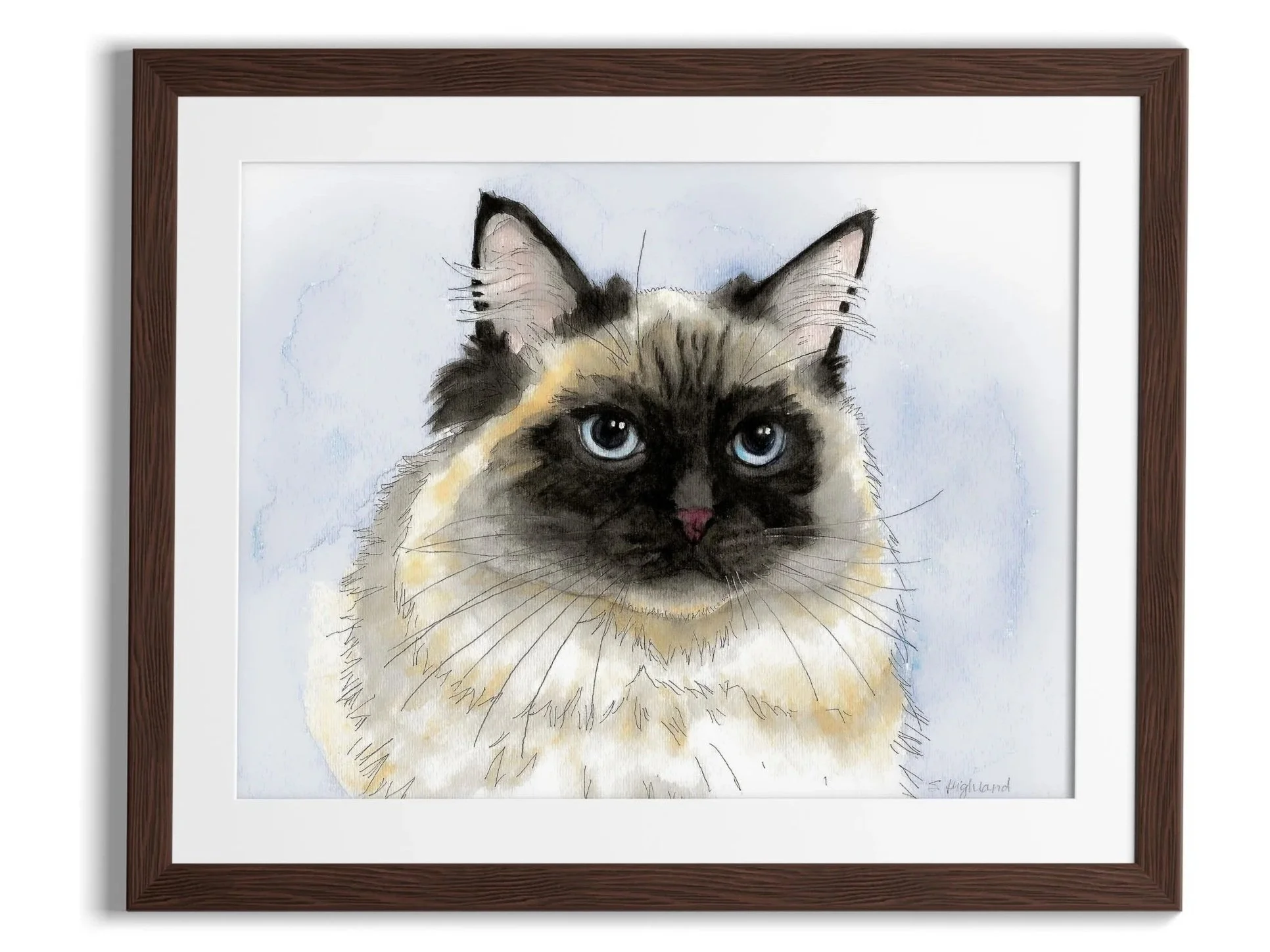 custom-hand-painted-watercolor-fluffy-cat-commission-oklahoma-001.jpg