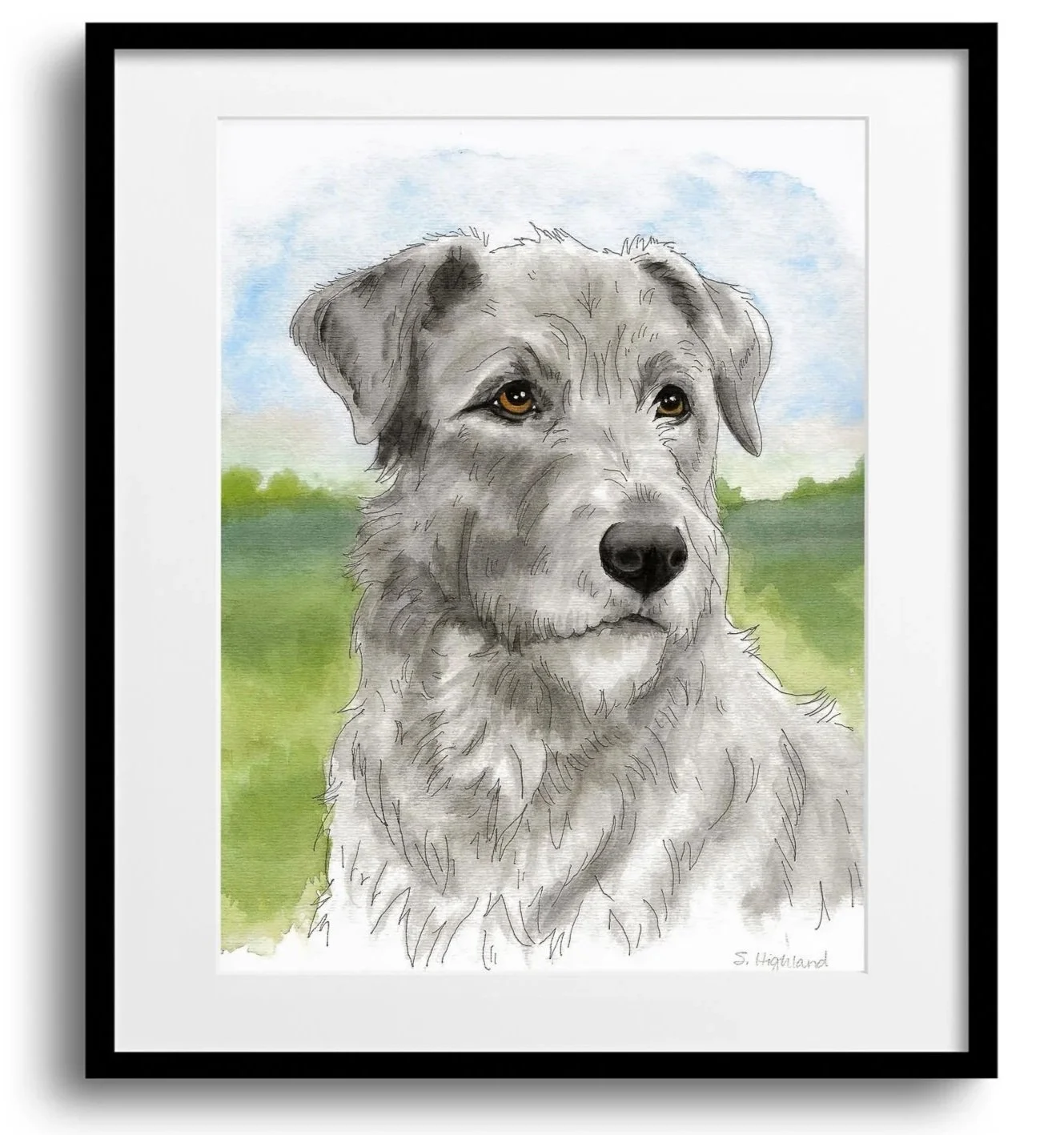 custom-hand-painted-watercolor-irish-wolf-hound-commission-oklahoma-001.jpg
