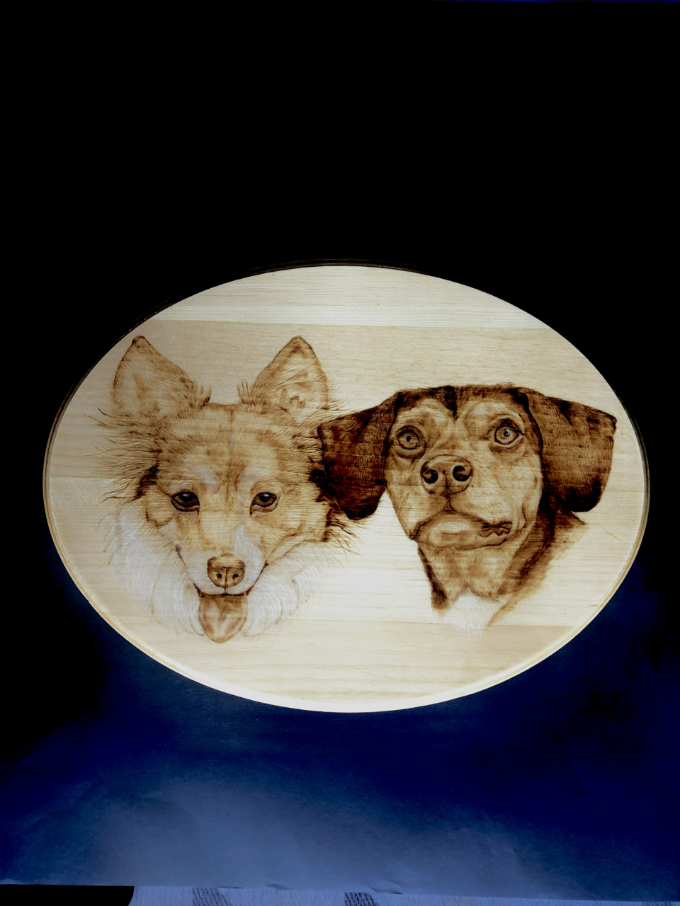 IMG_4076 Large.png