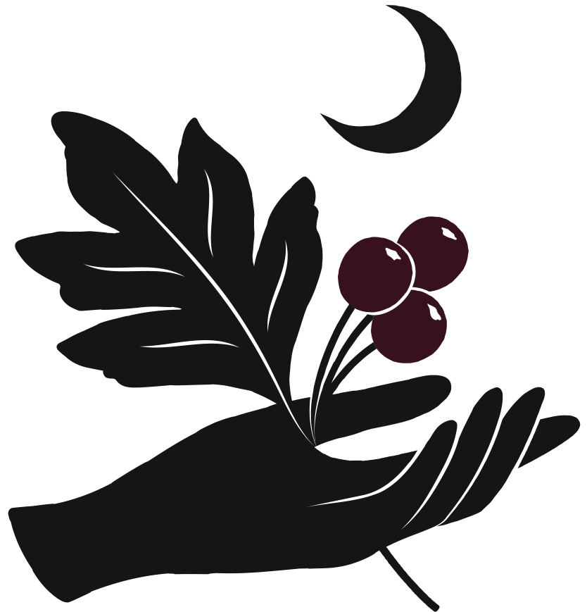 Dark silhouette of a hand holding  hawthorn leaf with three berries and a crescent moon in the background.
