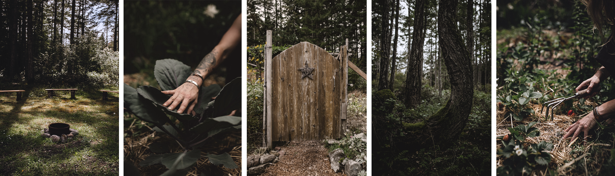 Series of images featuring a wooded outdoor area, a person handling plants, a rustic wooden gate with a star decoration, and close-up shots of hands working with plants.
