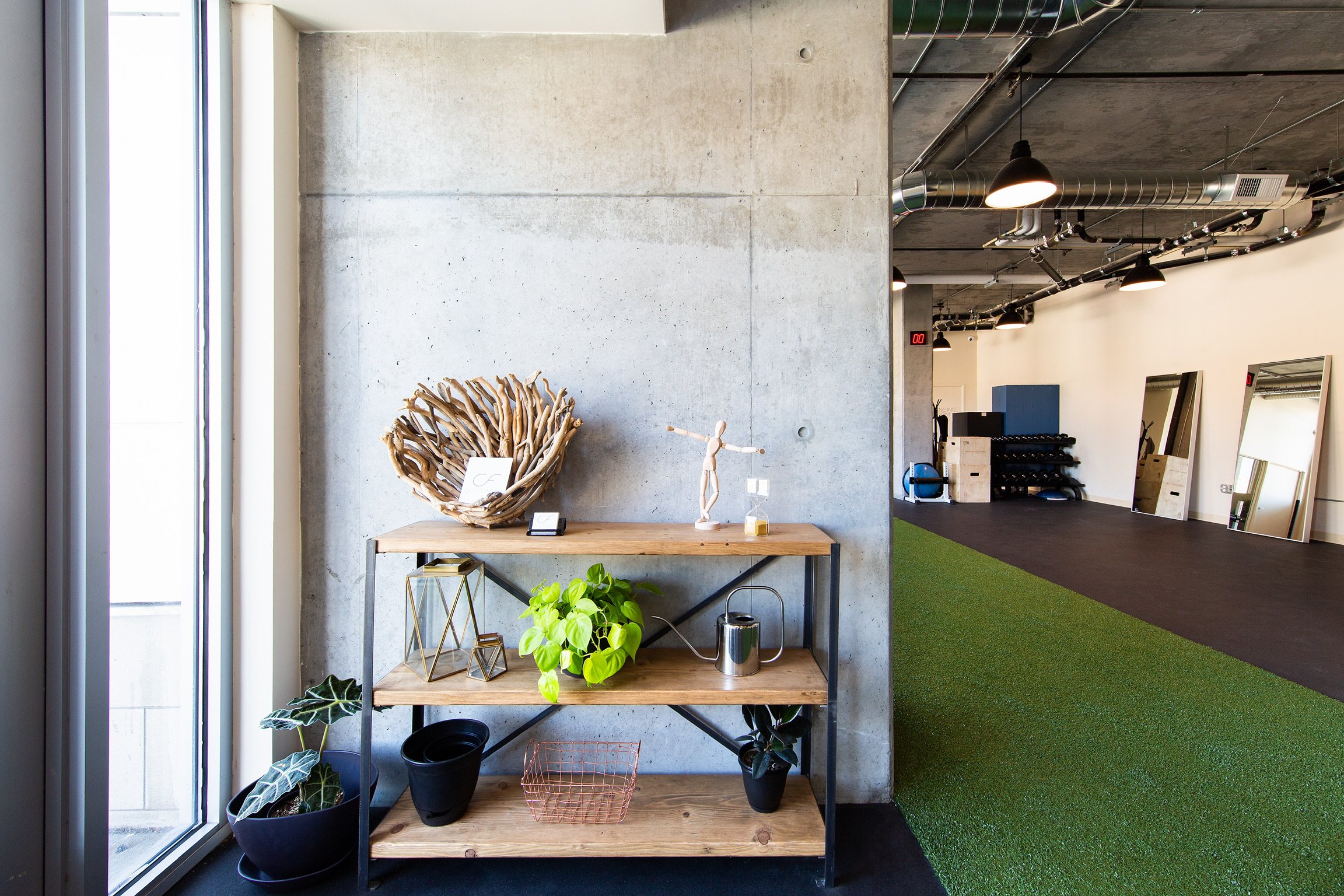 Interior of a modern gym or fitness center with a concrete wall, a wooden shelving unit with plants and decorative items, and gym equipment in the background including mirrors and exercise mats, with a mix of natural and industrial lighting.