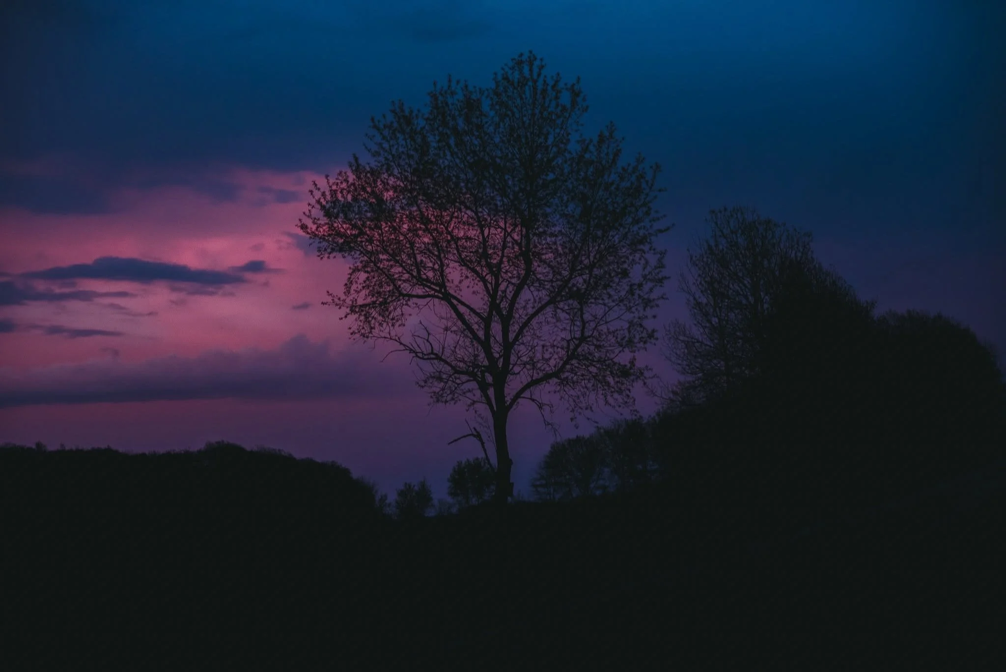 Silhouette of a tree at sunset with pink and purple sky and dark clouds.