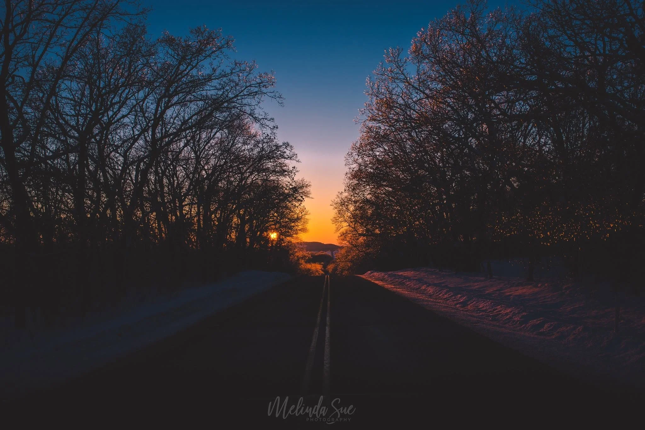 A photograph captures a scene of railroad tracks at sunset, flanked by dark silhouettes of bare trees on both sides, with the sky transitioning from deep blue to orange near the horizon.