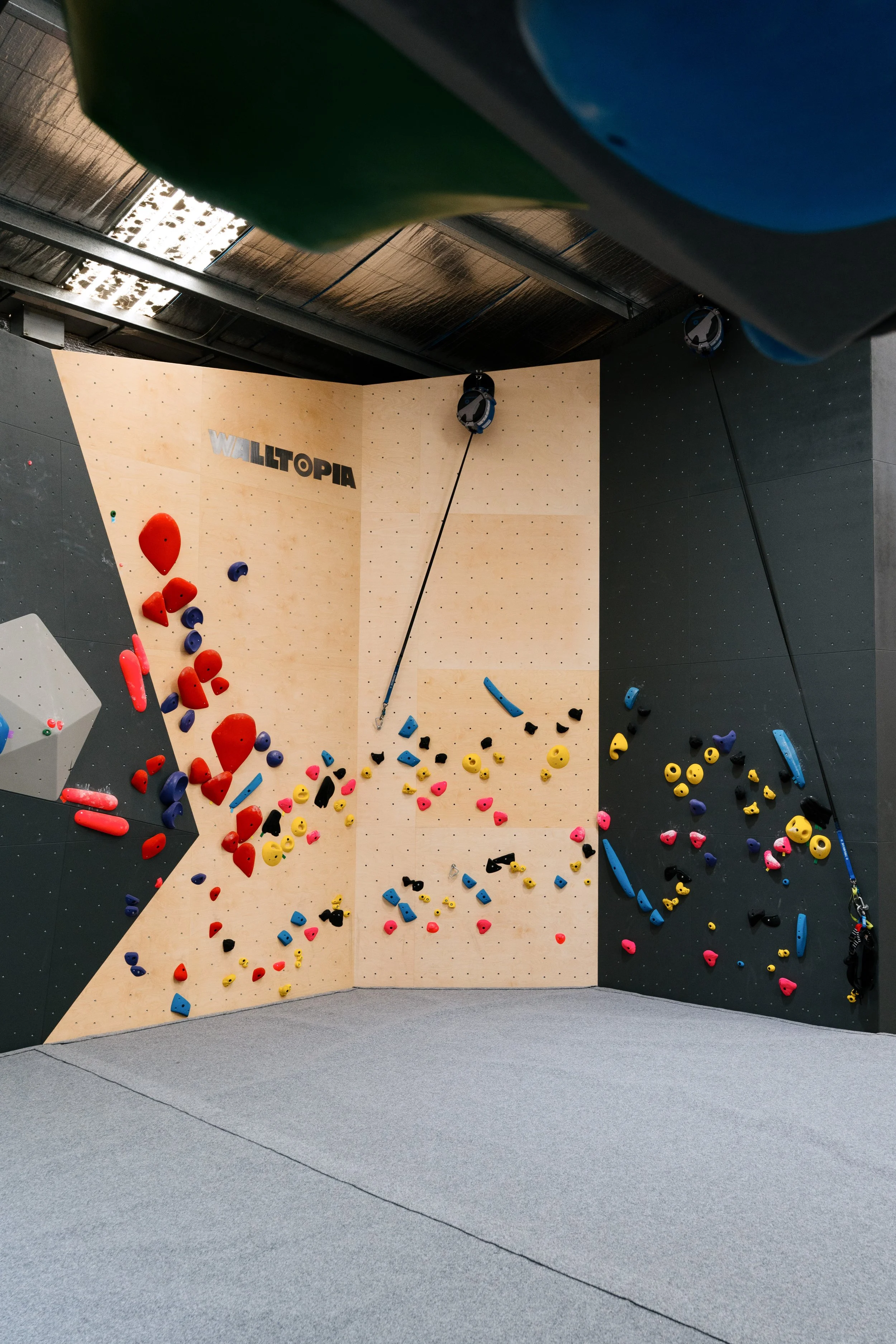 Indoor bouldering gym with a climbing wall featuring colorful holds, including red, yellow, blue, black, and pink, with the word 'WILLOPIA' on the wall.