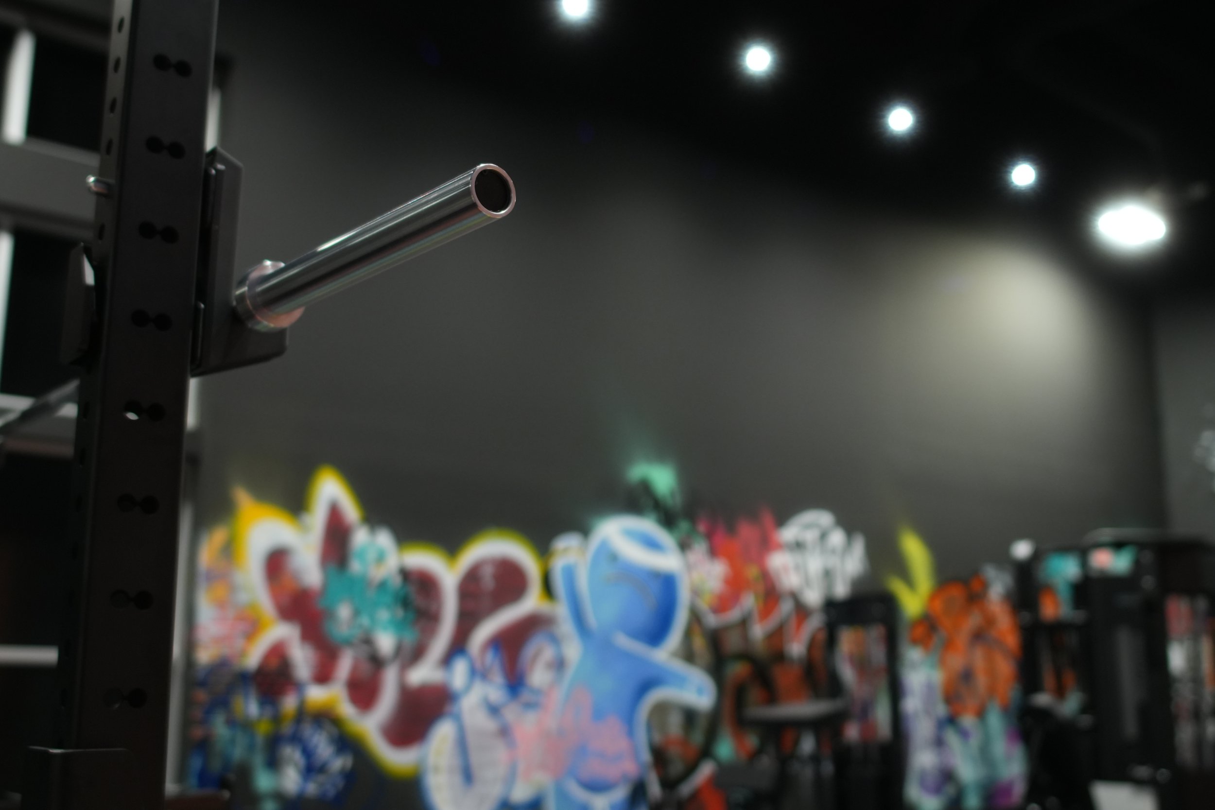 Evo Gym - 04.JPG