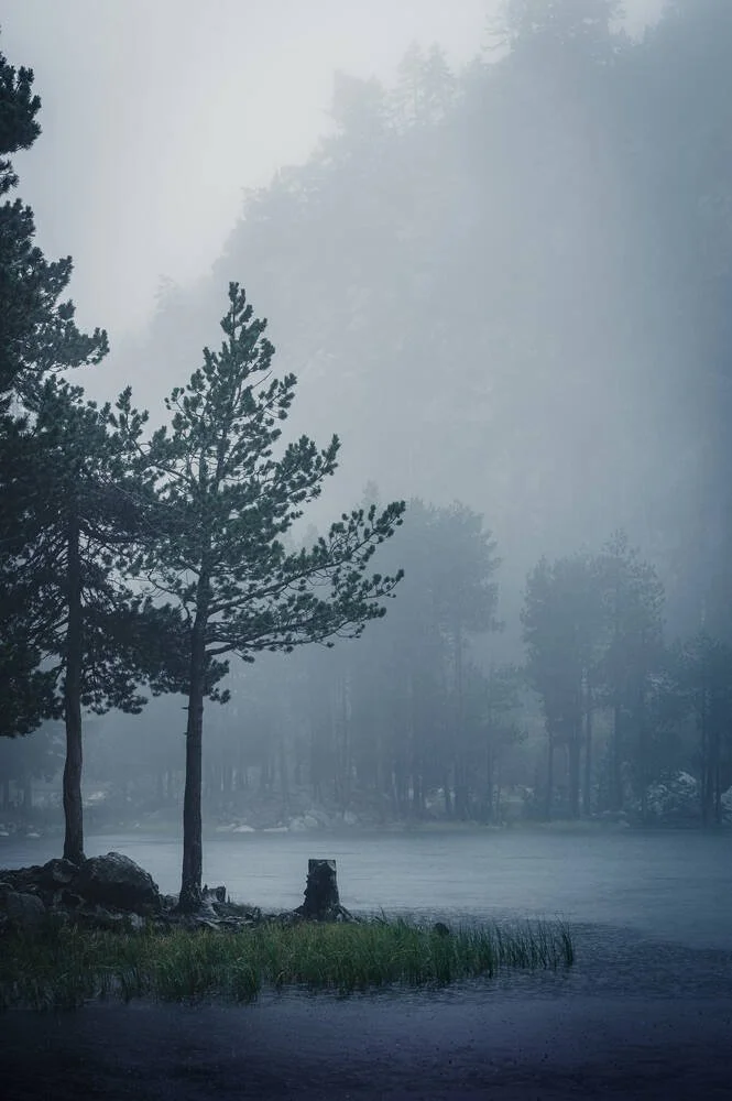 Rainy Day