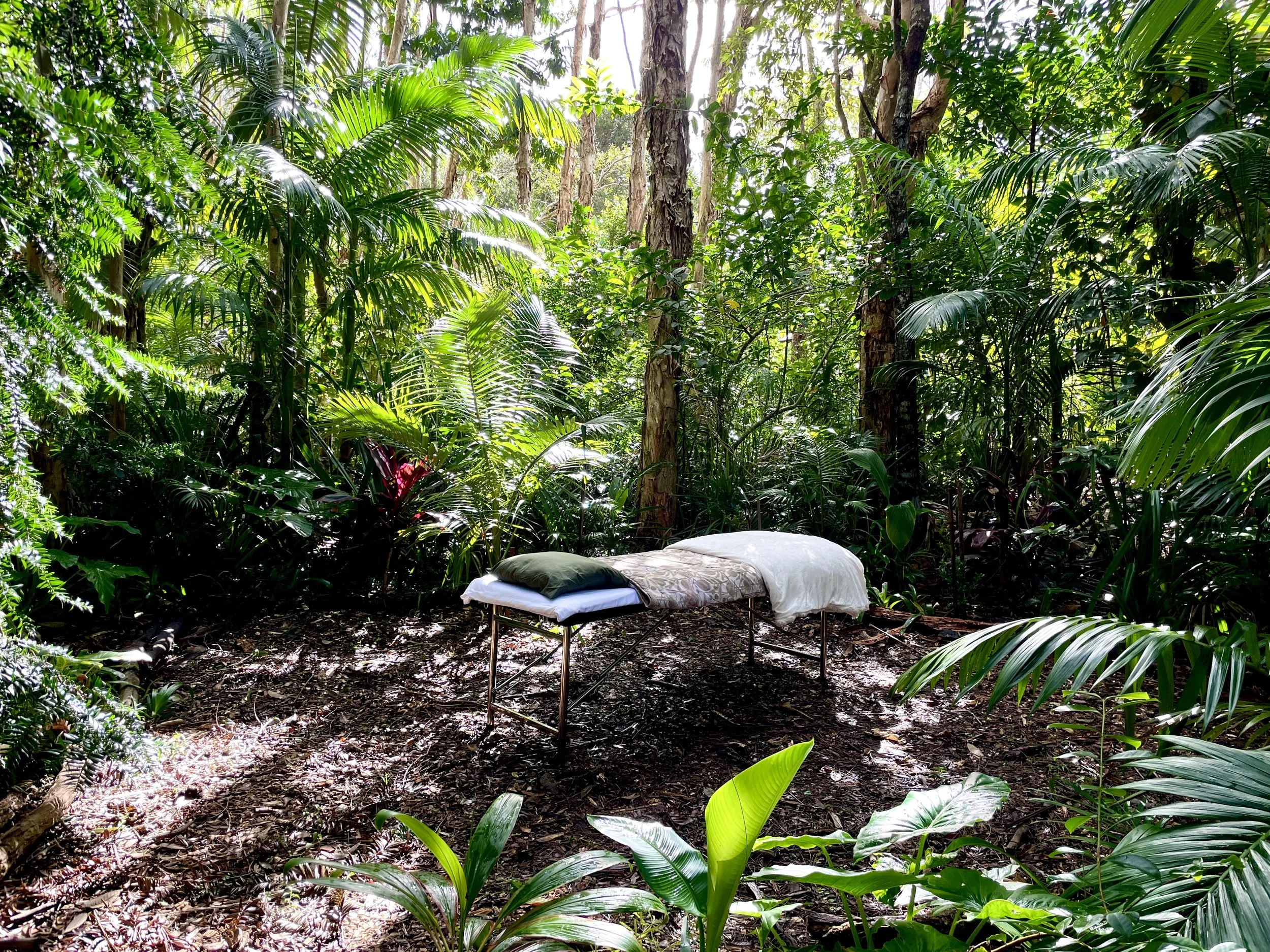 A lush, green jungle scene with tall trees, dense foliage, and sunlight filtering through the canopy. There is a small table with a white tablecloth and some cushions on the ground in the foreground.